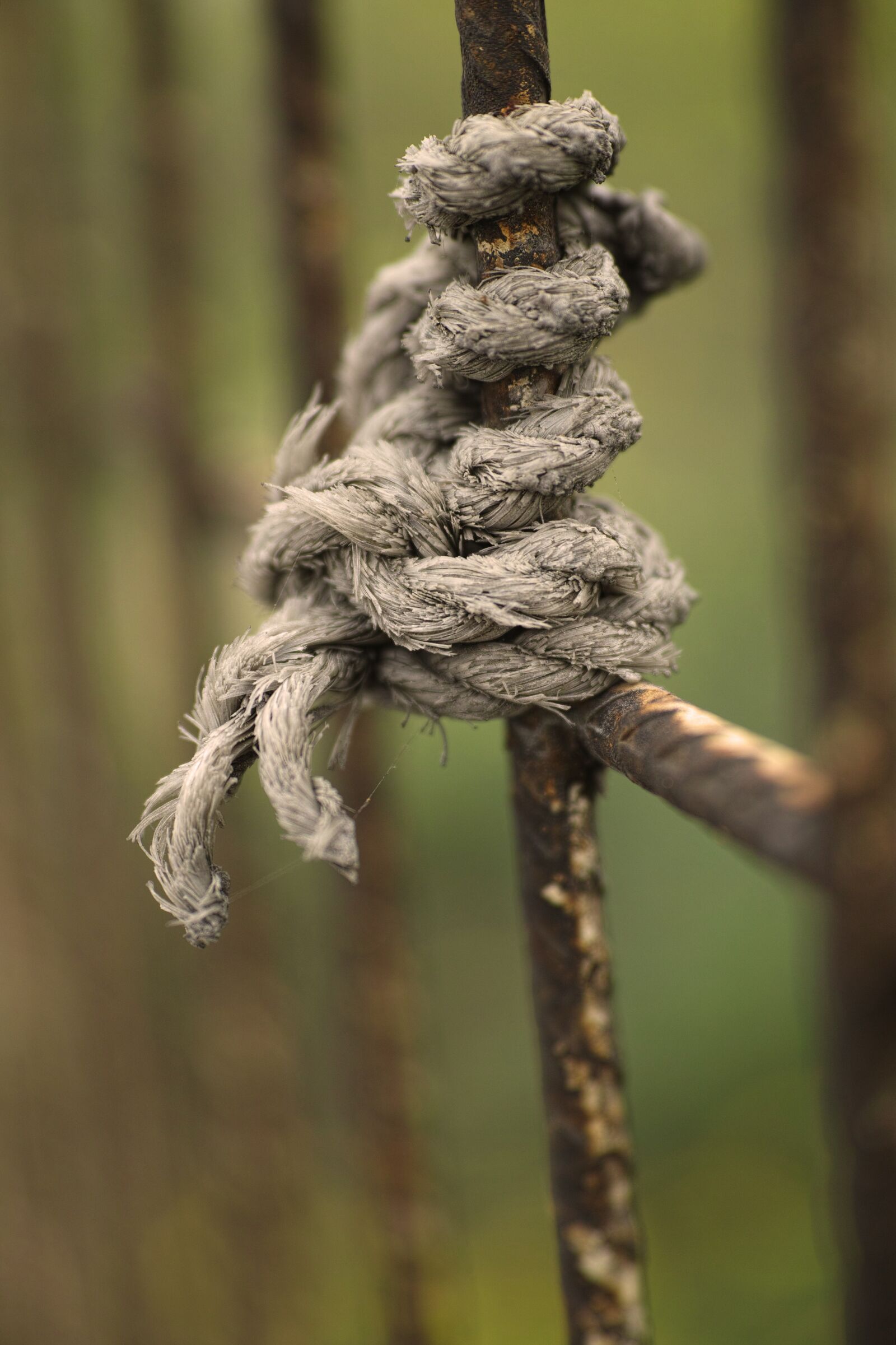 Sigma DP3 Merrill sample photo. Rope, grey, daniel photography