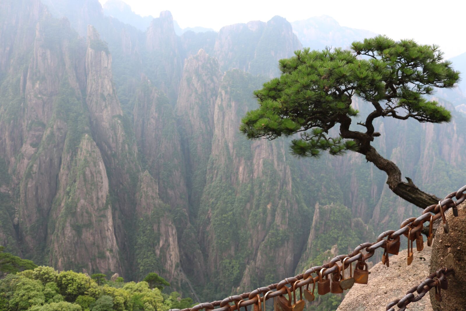 Canon EOS 750D (EOS Rebel T6i / EOS Kiss X8i) sample photo. Chain, tree, mountain photography