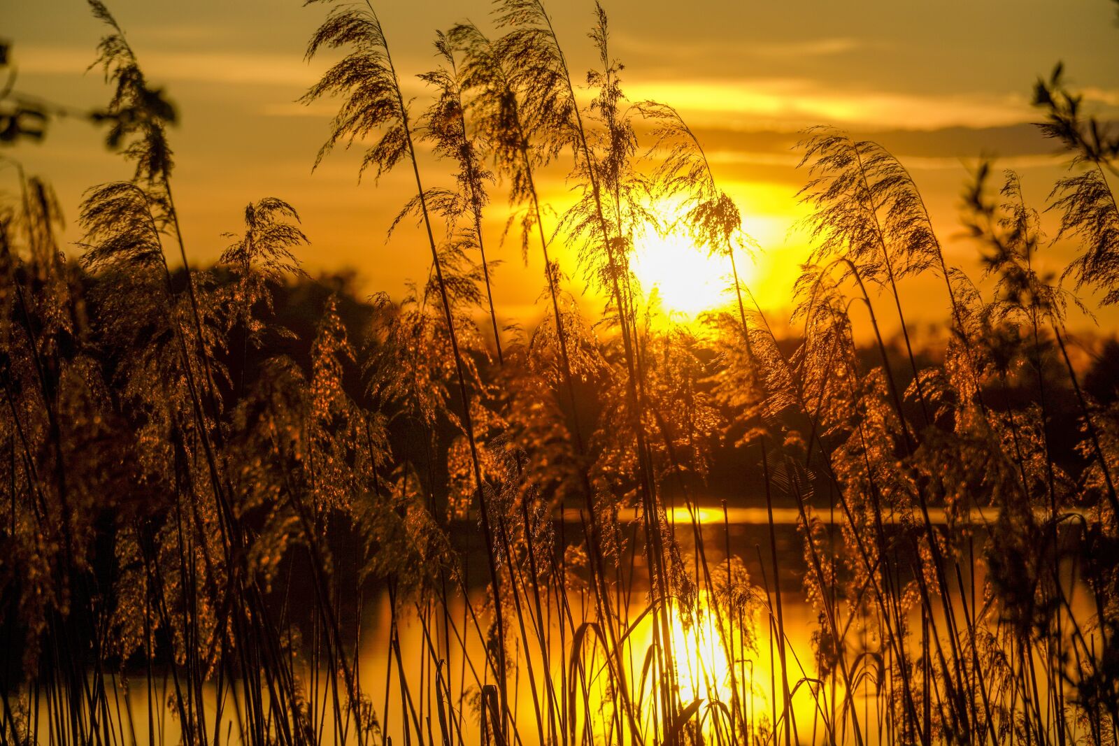 Sony a6400 sample photo. Lake, sunset, landscape photography