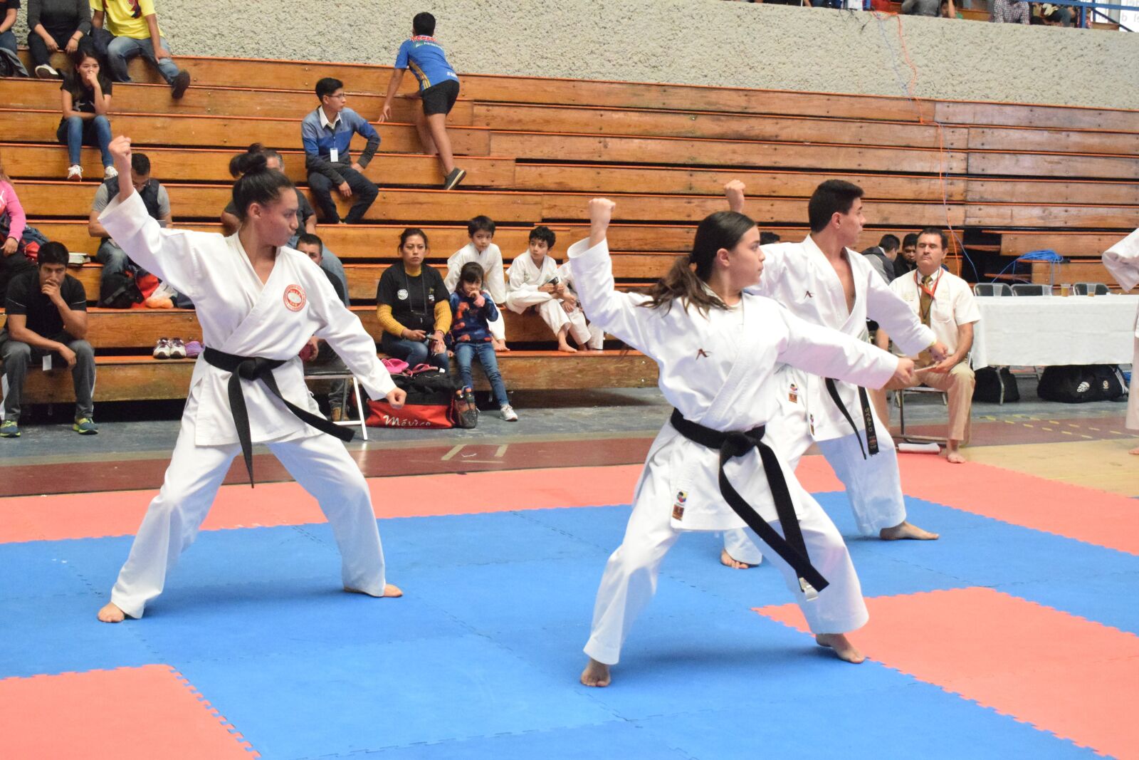 Nikon D3300 sample photo. Karate, kata, team kata photography