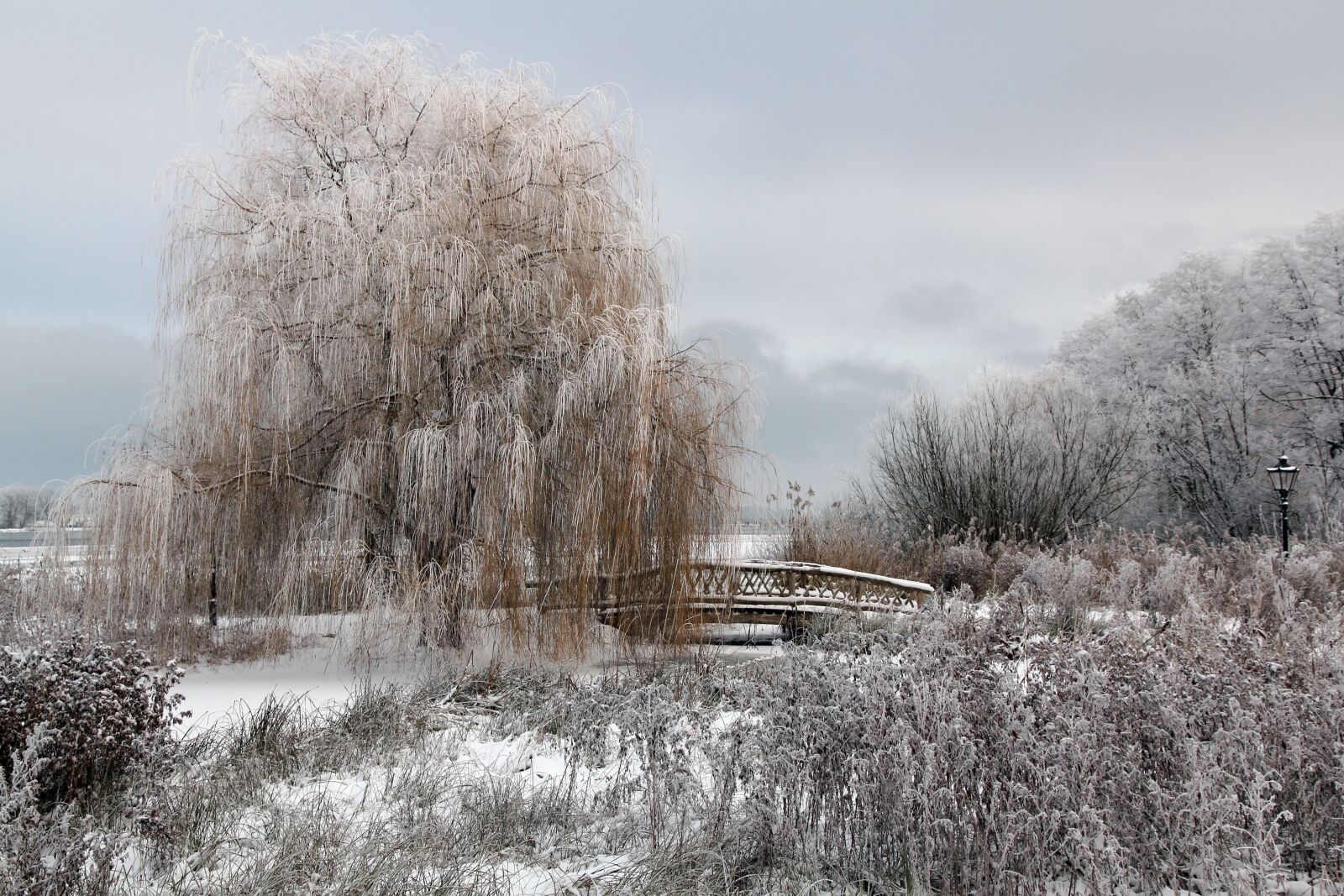 Canon EOS 550D (EOS Rebel T2i / EOS Kiss X4) sample photo. Schweriner see, winter, frost photography