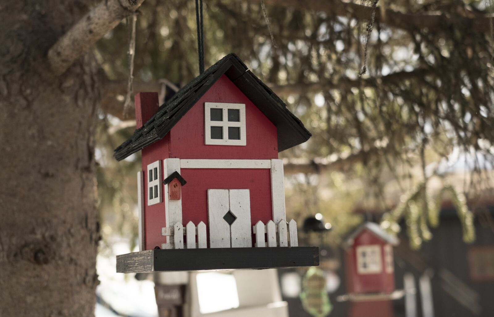 Fujifilm X-T20 + Fujifilm XF 35mm F1.4 R sample photo. Bird house, tree, nature photography