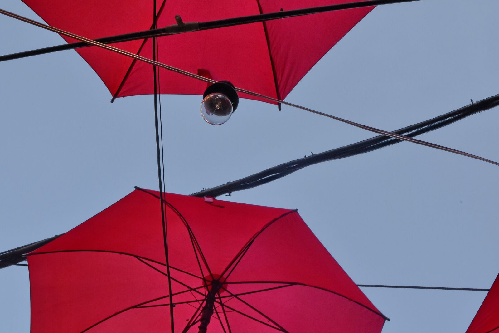 Nikon D5500 sample photo. Decoration, light bulb, umbrella photography