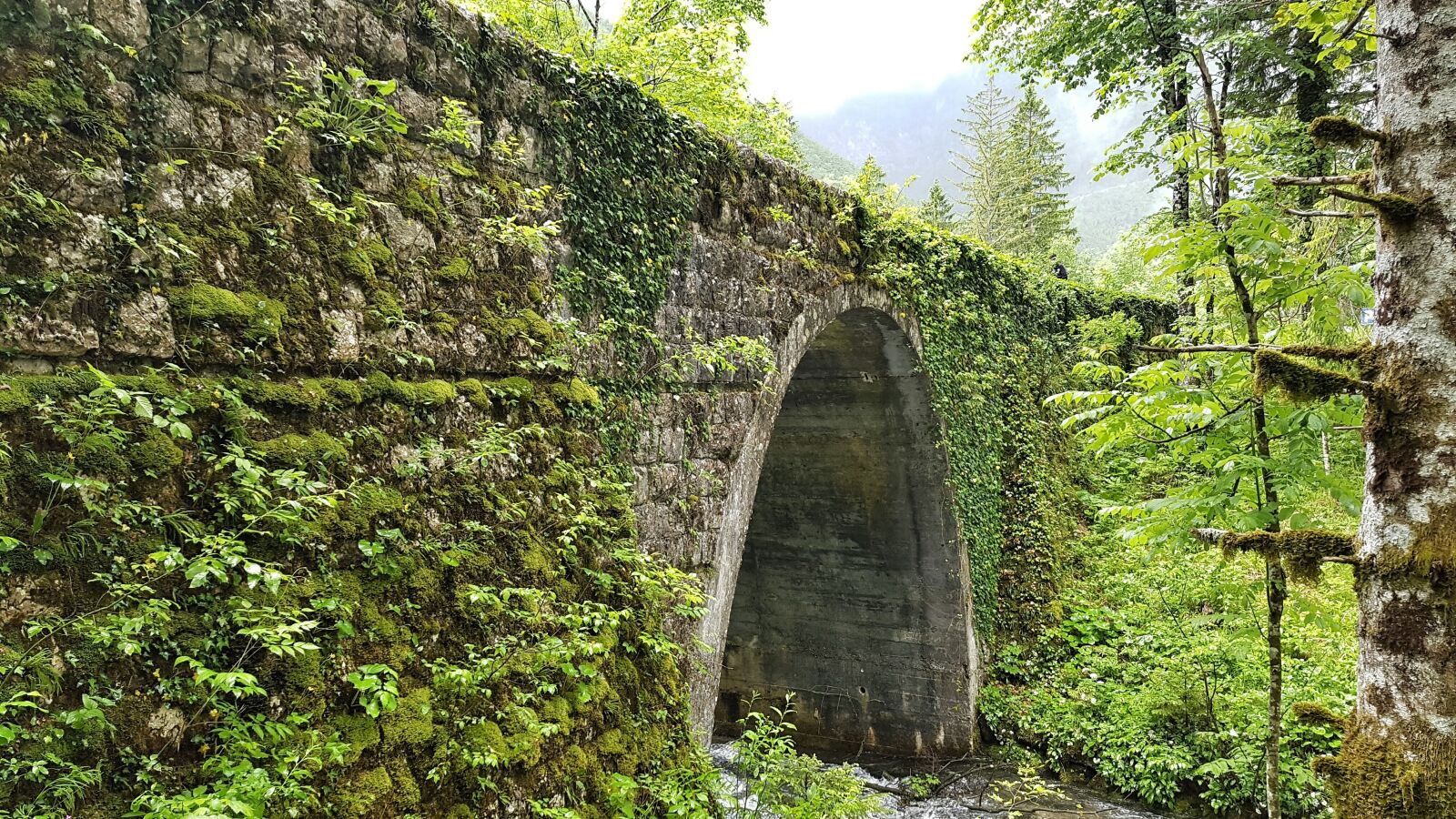 Samsung Galaxy S7 Edge sample photo. Slovenia, nature, bridge photography