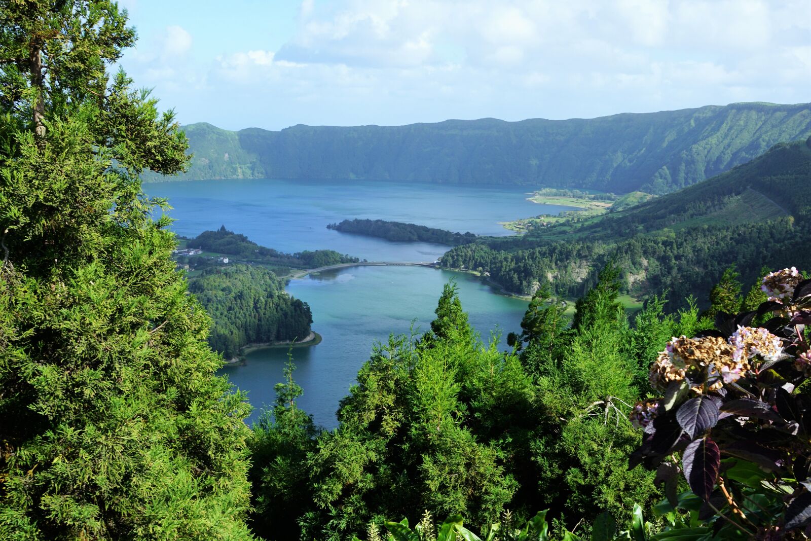 Sony ILCA-77M2 + Sony DT 16-50mm F2.8 SSM sample photo. Azores, portugal, nature photography