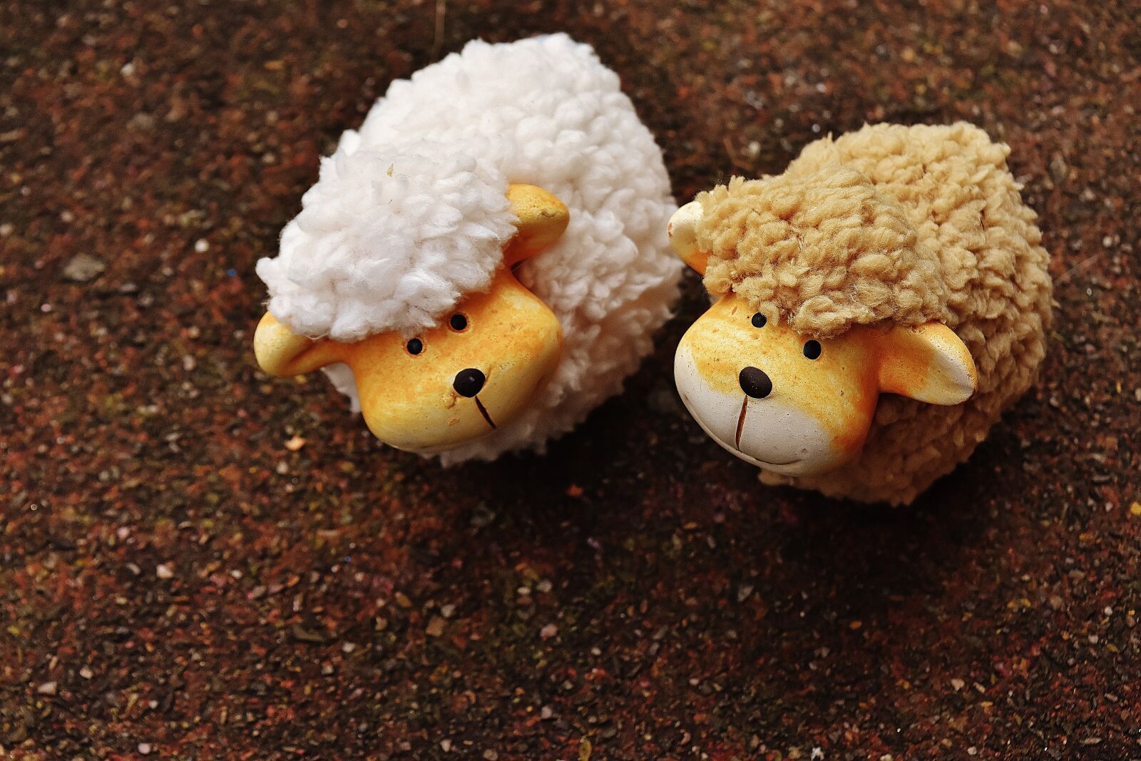 Nikon D7200 sample photo. Sheep, animals, deco photography