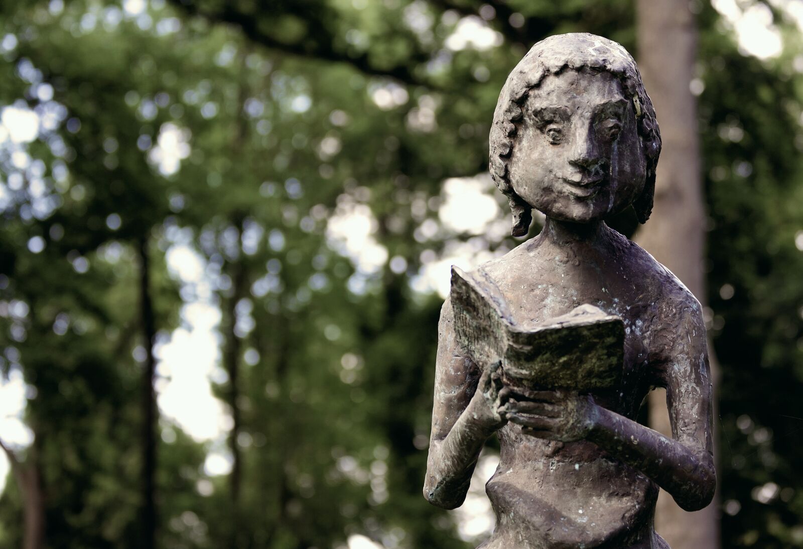 Nikon D610 sample photo. Sculpture, monument, anna park photography