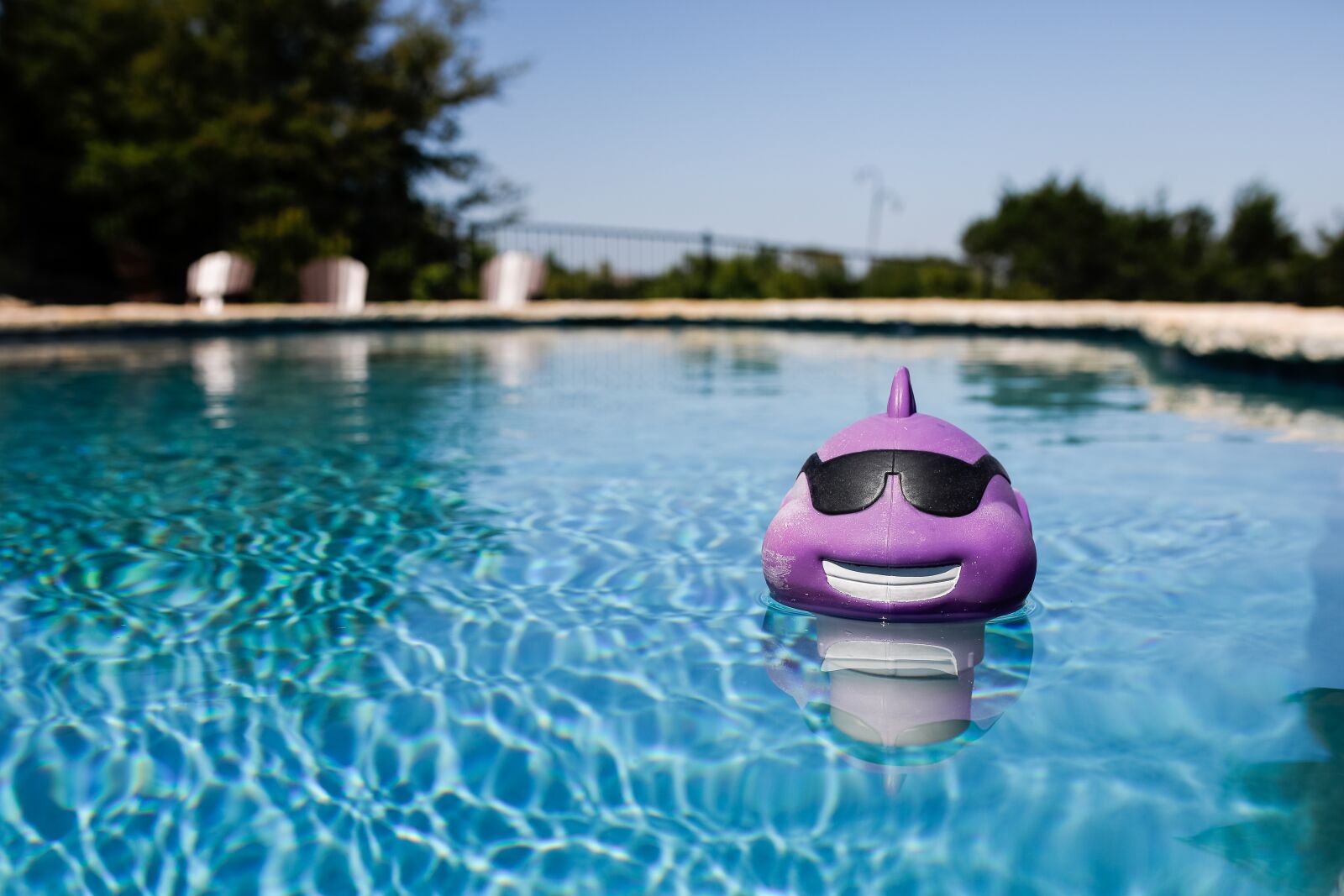 Canon EOS 5D Mark IV sample photo. Pool, purple, summer photography