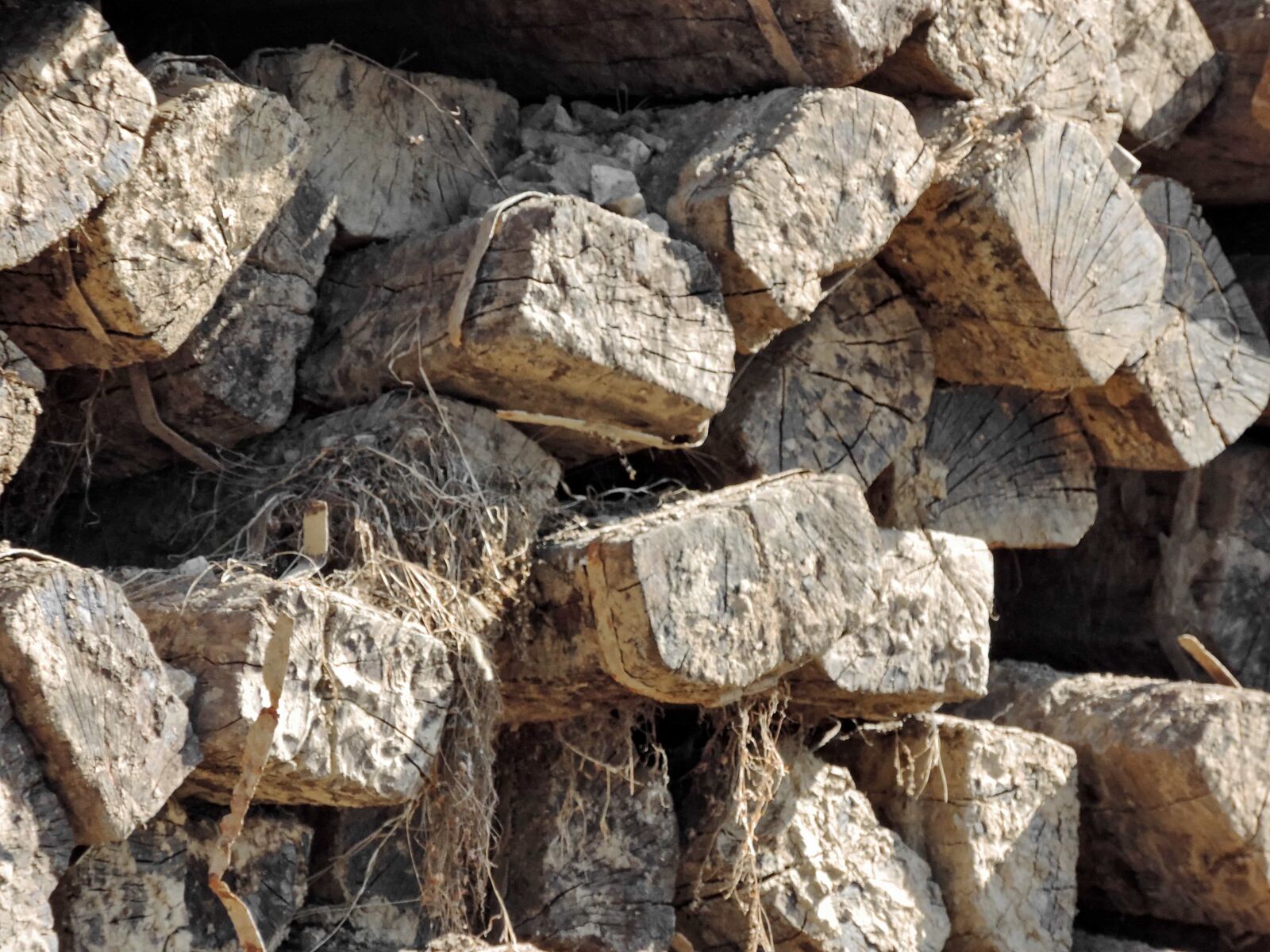Nikon Coolpix P520 sample photo. Firewood, pile, wood, barrier photography