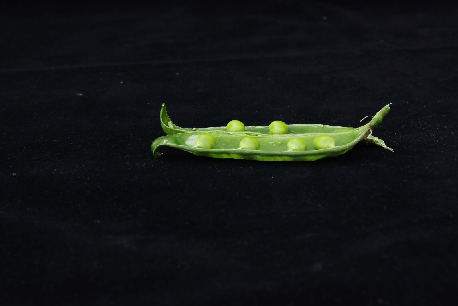 Canon EOS 77D (EOS 9000D / EOS 770D) sample photo. Peas, green, background photography