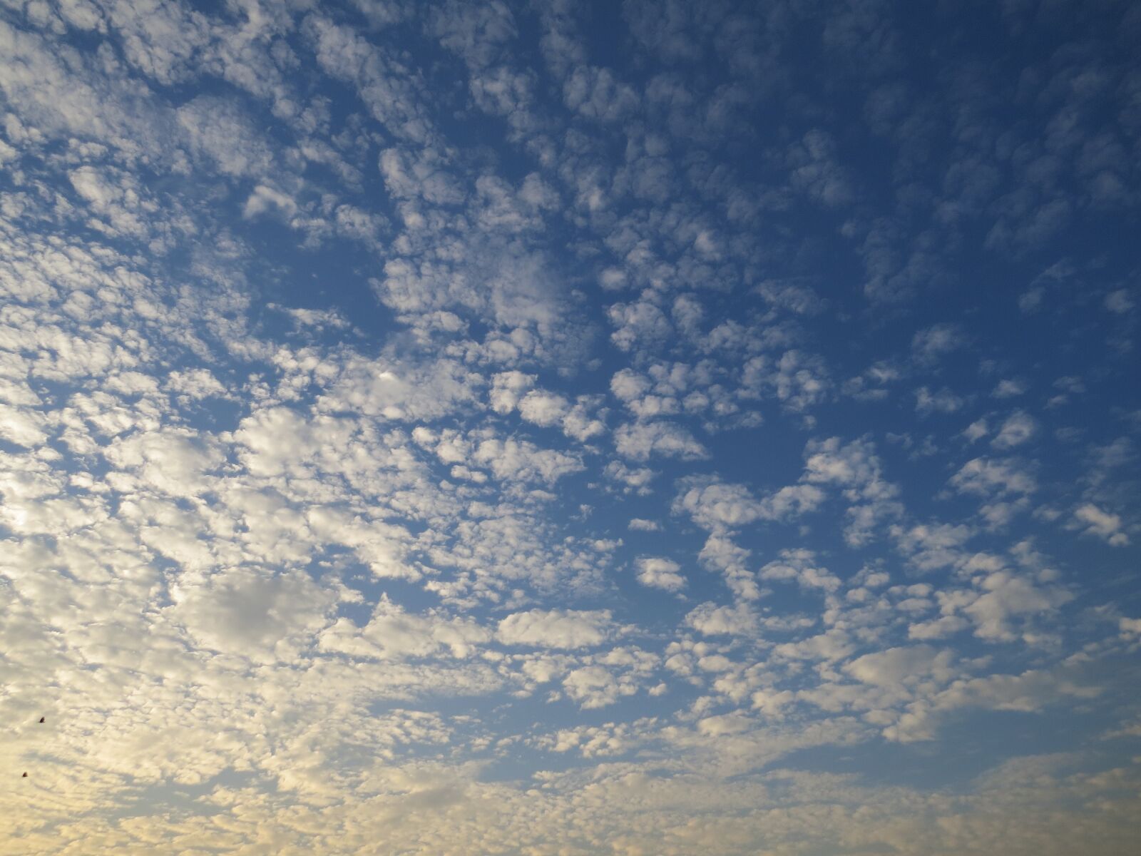 Canon PowerShot SX50 HS sample photo. Cotton sky, sky, different photography