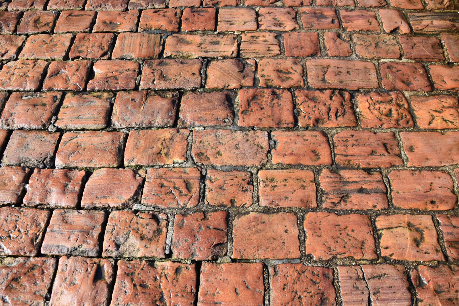 Nikon D5600 sample photo. Pavers, paving stone, soil photography