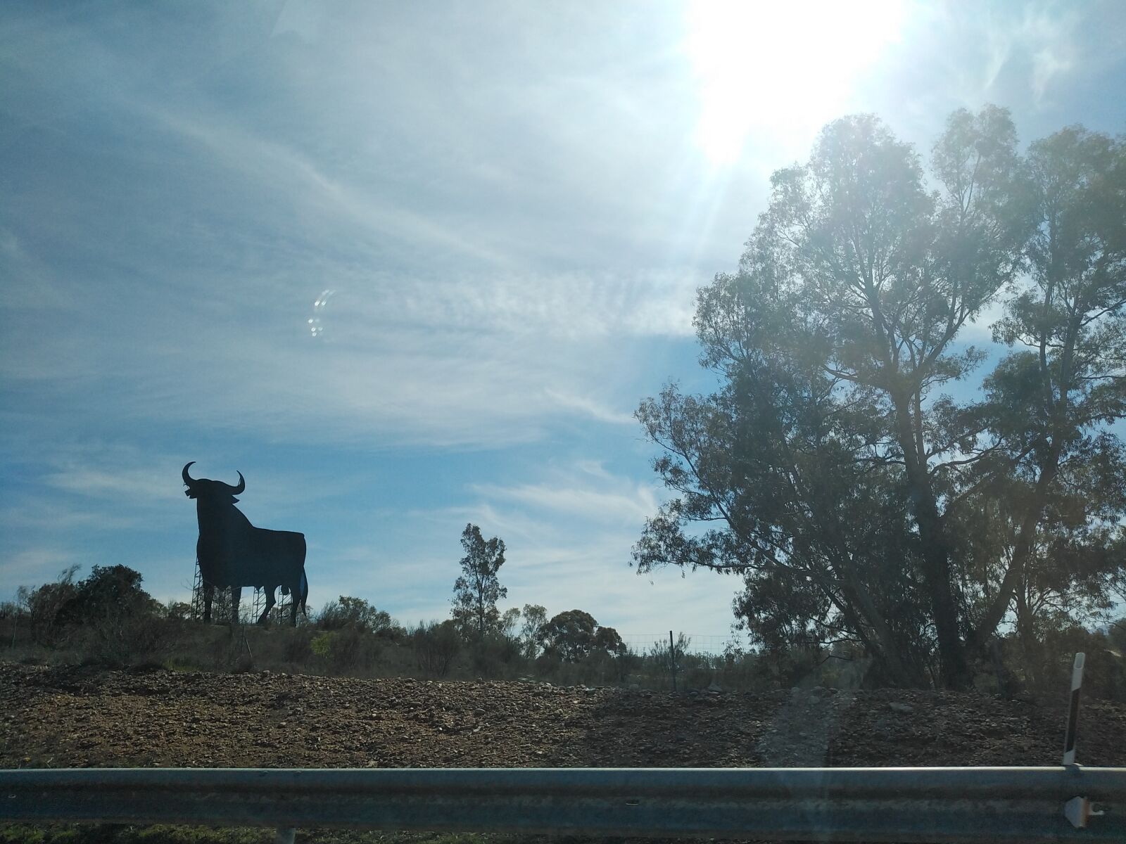 HUAWEI DUB-LX1 sample photo. Road, cow, spain photography