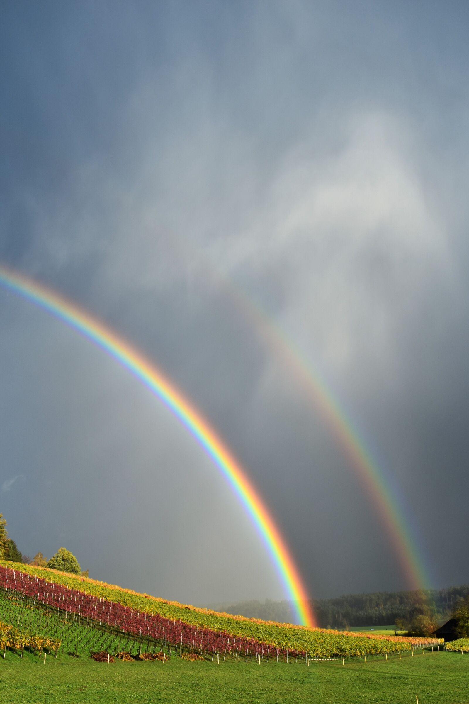Nikon D5500 sample photo. Rainbow, rain, landscape photography