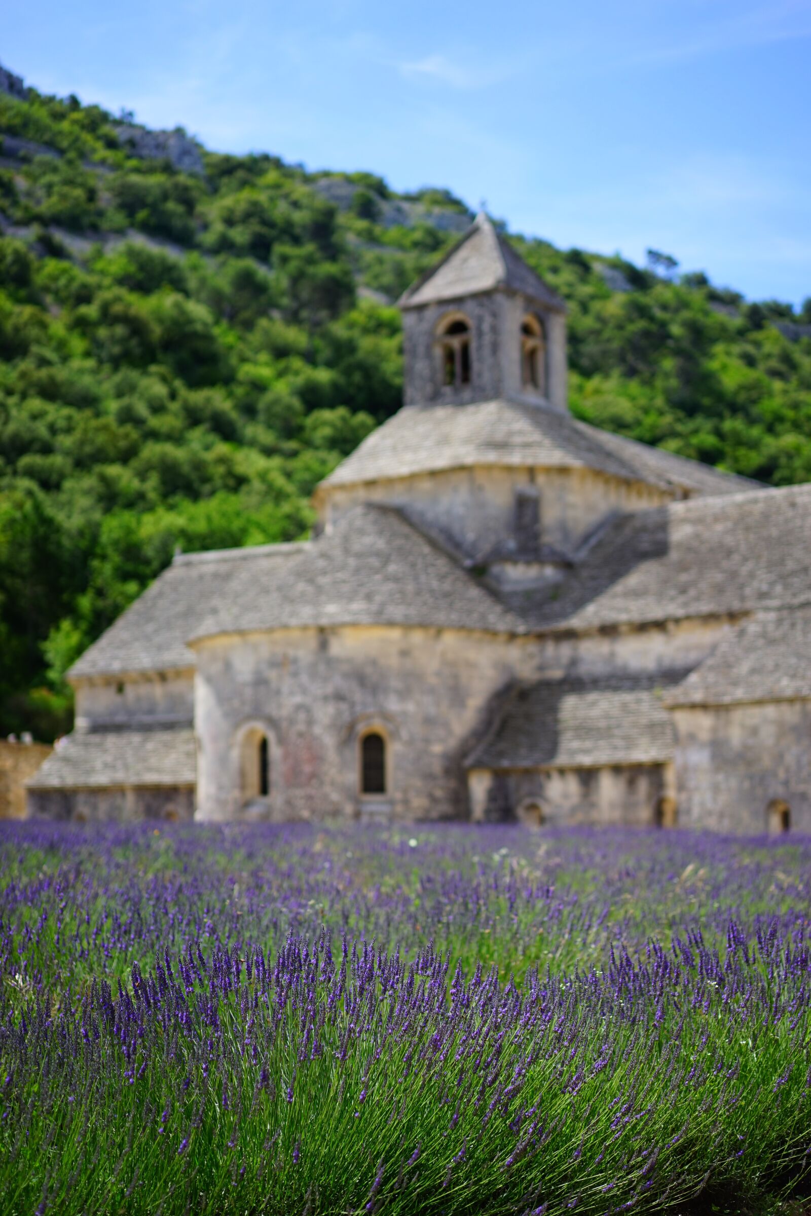 Sony a7 + Sony Sonnar T* FE 55mm F1.8 ZA sample photo. Abbaye de s nanque photography
