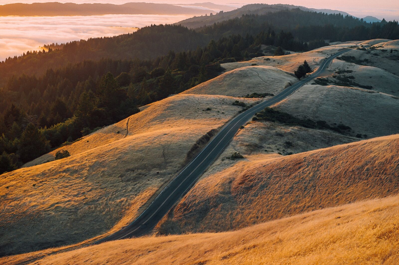 Sony a7 II + Sony Sonnar T* FE 55mm F1.8 ZA sample photo. Dawn, dusk, hill photography