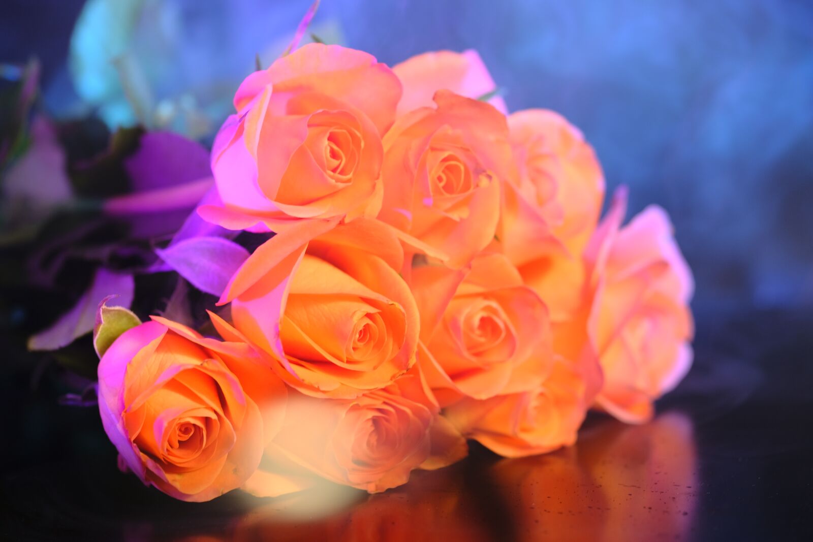 Fujifilm X-T2 + Fujifilm XF 80mm F2.8 R LM OIS WR Macro sample photo. Roses, flowers, bouquet photography