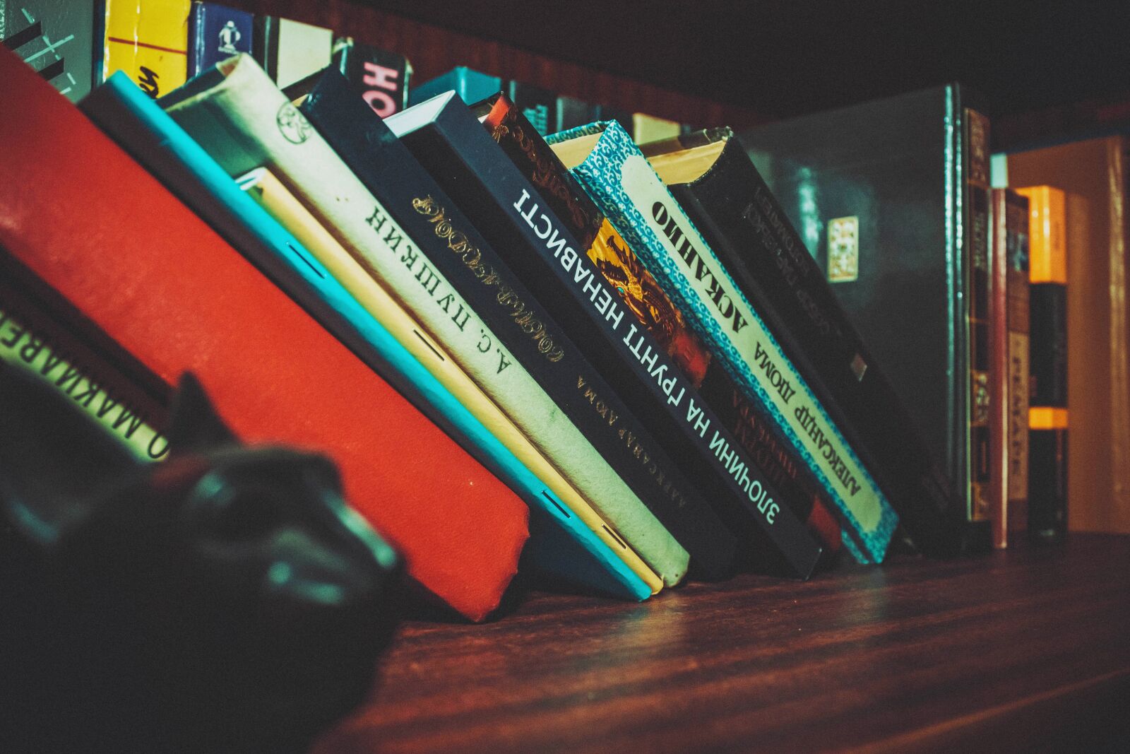 Canon EOS 600D (Rebel EOS T3i / EOS Kiss X5) sample photo. Bookcase, books, business photography