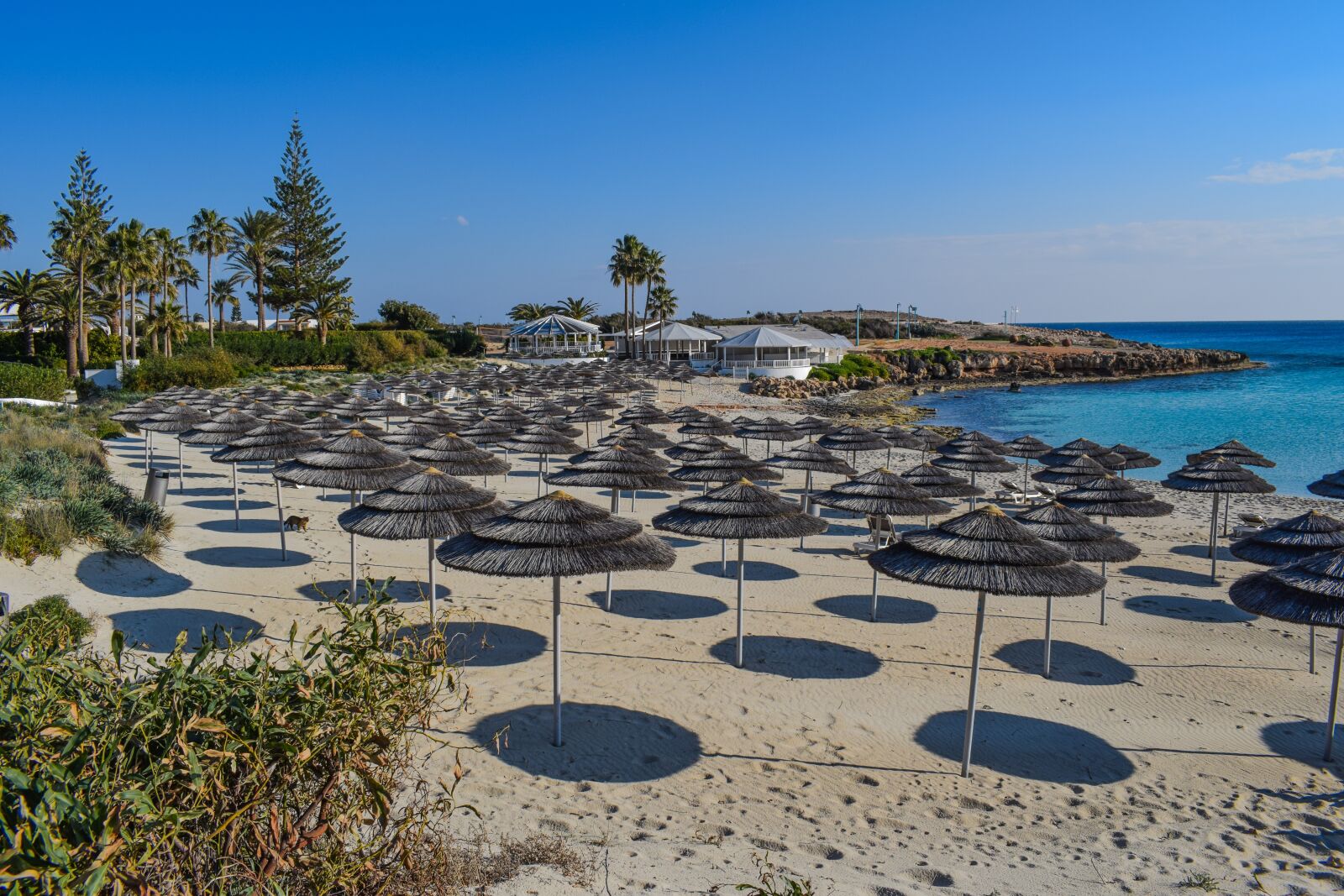 Nikon D3300 sample photo. Beach, umbrellas, sand photography