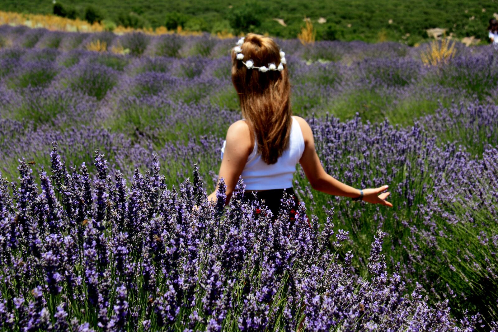 Canon EOS 450D (EOS Rebel XSi / EOS Kiss X2) sample photo. Lavender, young girl, happy photography