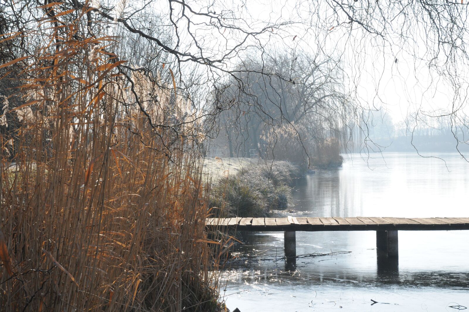 Nikon D300 sample photo. Winter, wood, snow photography