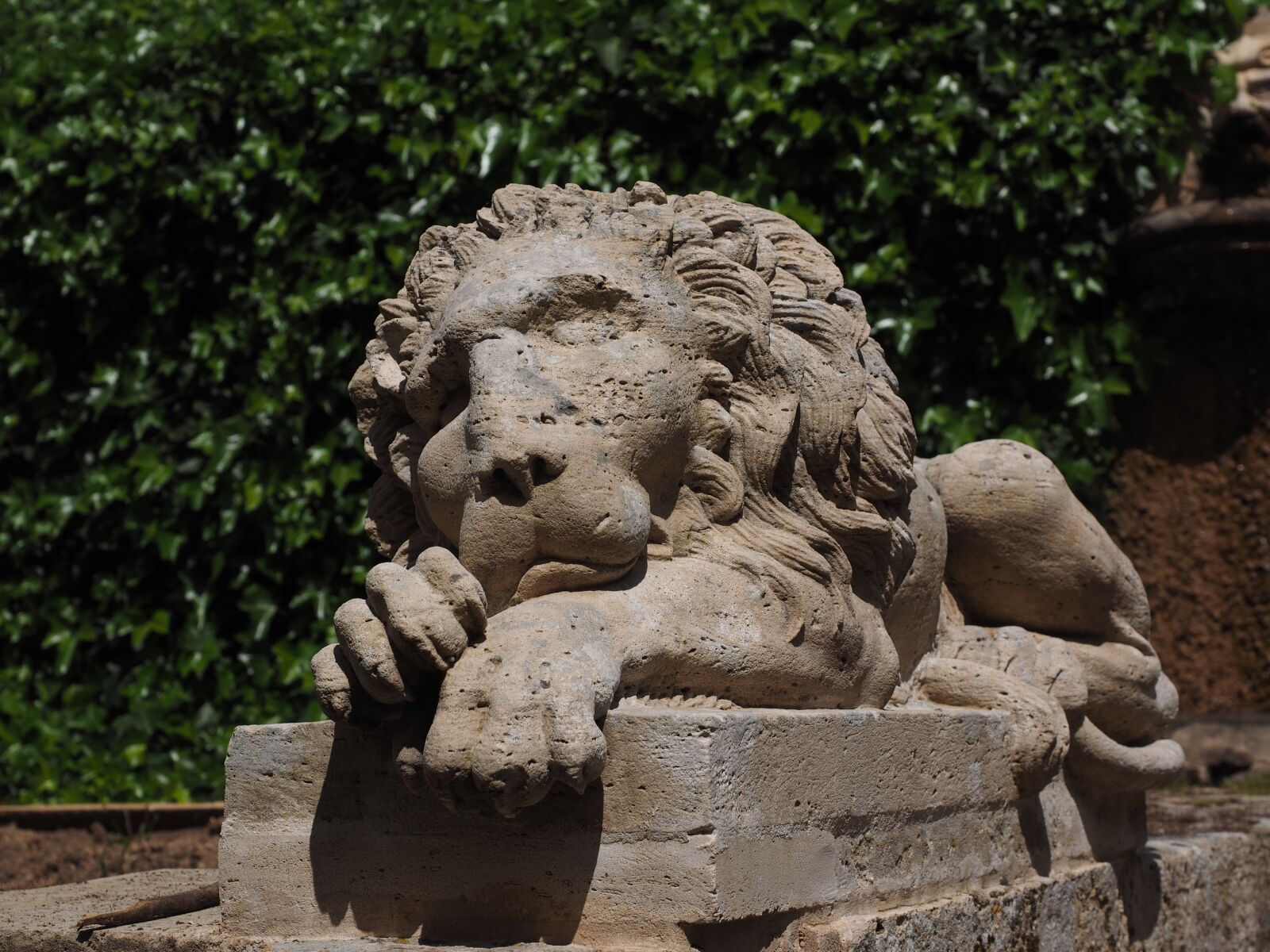 Olympus OM-D E-M1 + Olympus M.Zuiko Digital ED 12-40mm F2.8 Pro sample photo. Lion, predator, figure photography