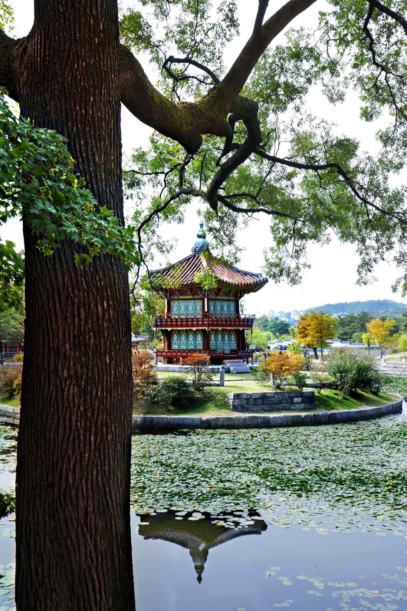 Canon EF 16-35mm F4L IS USM sample photo. Temple, south korea, joseon photography
