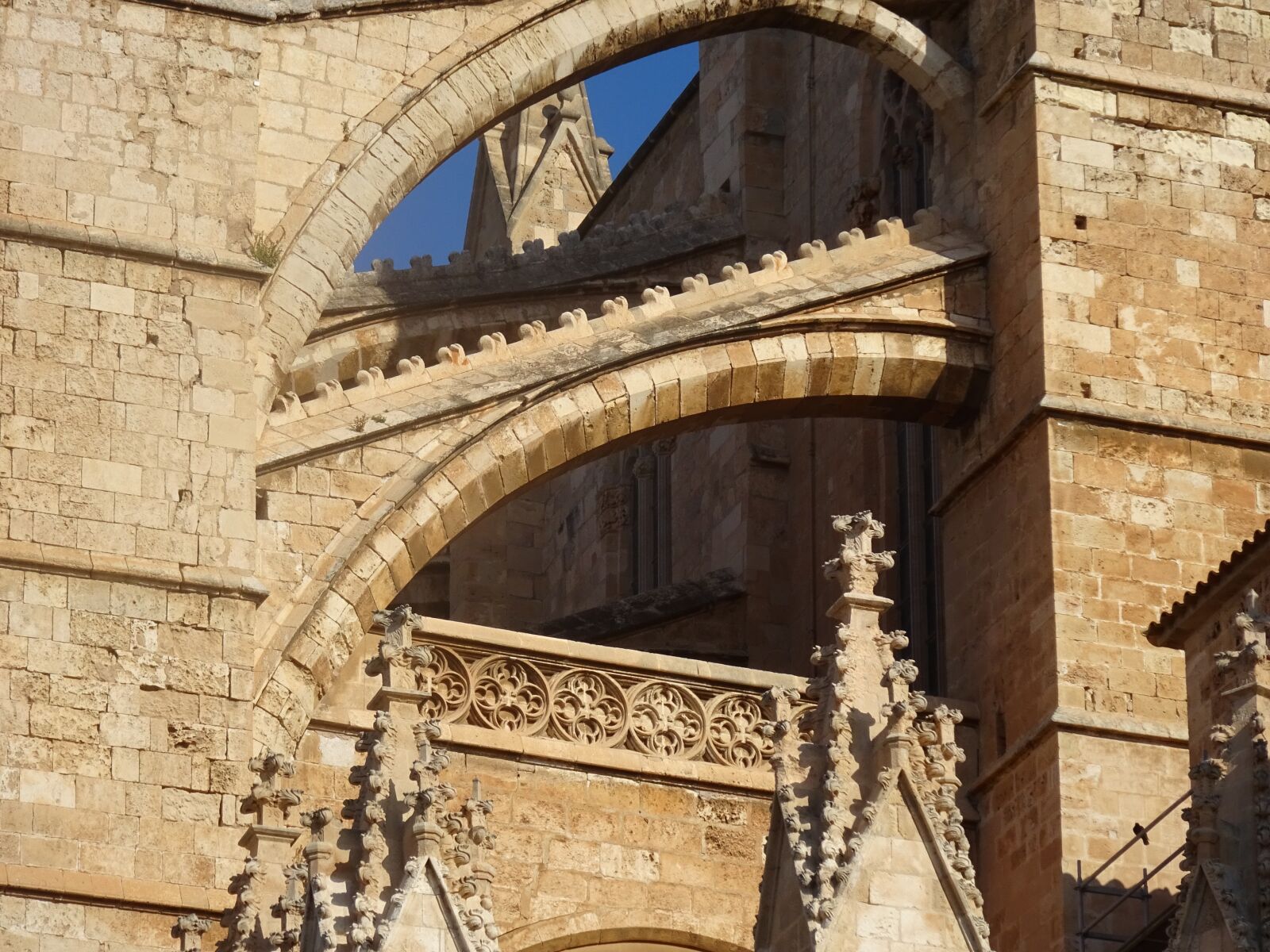 Sony Cyber-shot DSC-WX350 sample photo. Cathedral, palma, mallorca photography