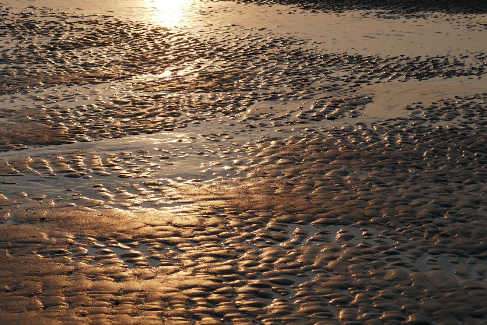 Panasonic DMC-TZ101 sample photo. Watts, priel, sea photography