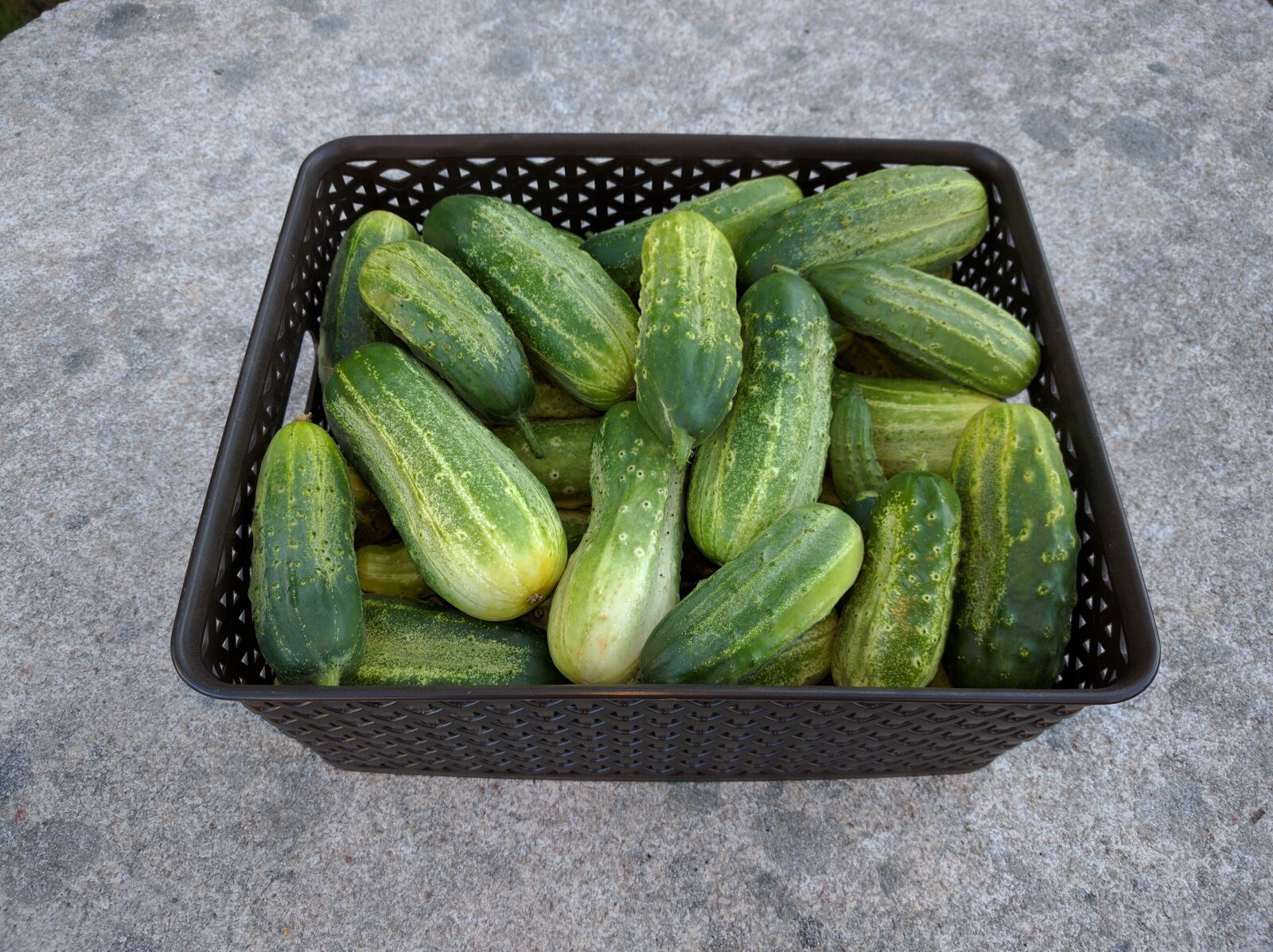 LG Nexus 5X sample photo. Pickles, food, orchard photography