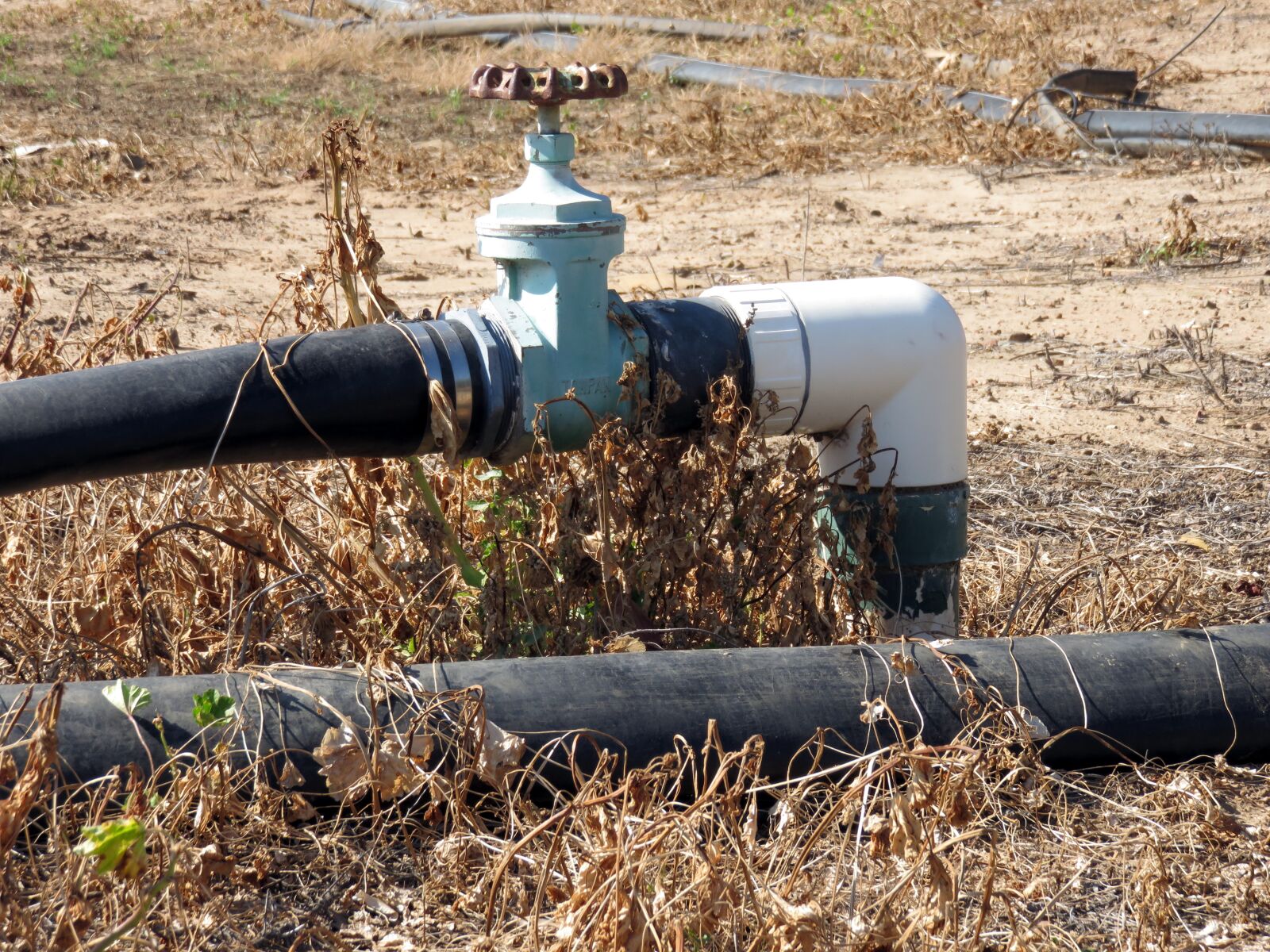 Canon PowerShot SX700 HS sample photo. Drought, pipe, valve photography