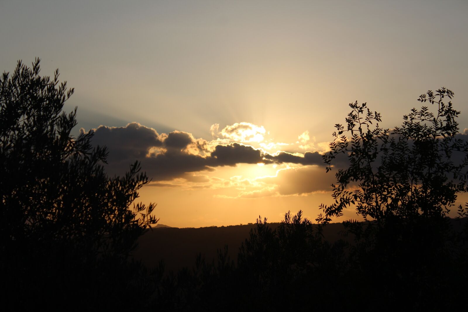Canon EOS 1200D (EOS Rebel T5 / EOS Kiss X70 / EOS Hi) sample photo. Sunset, nature, tree photography