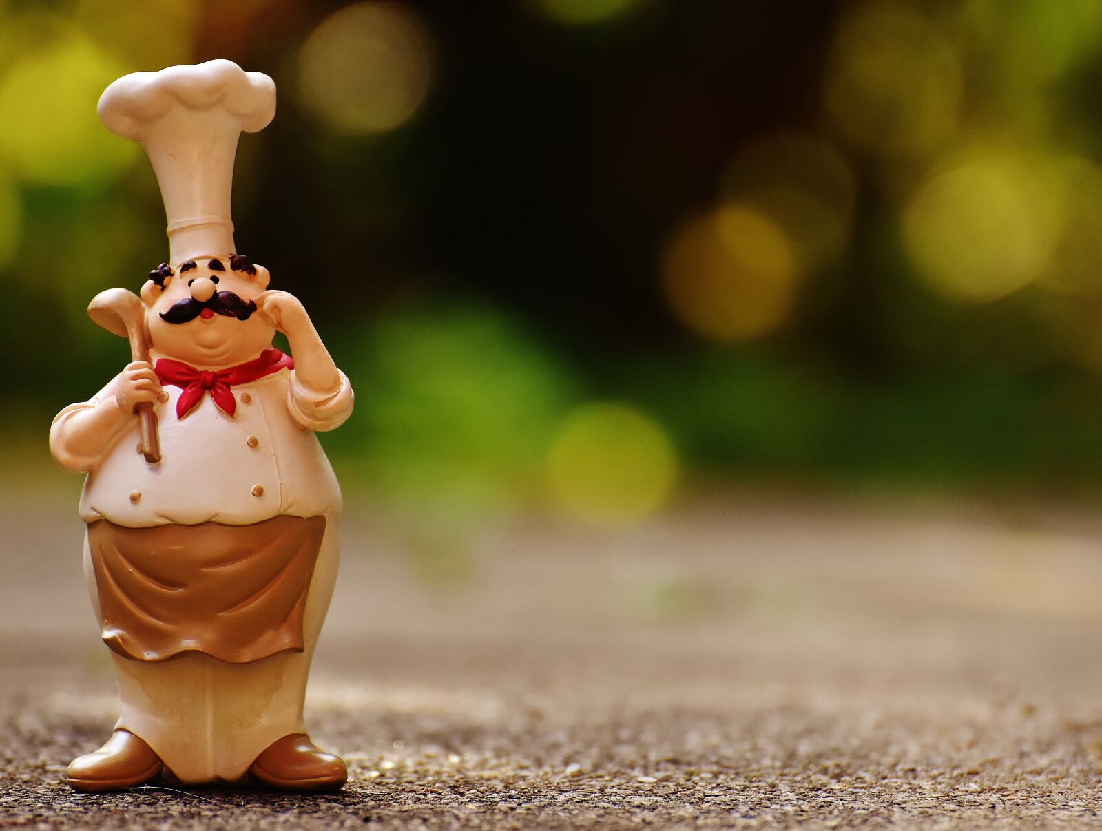 Nikon D7200 sample photo. Chefs, figures, funny photography