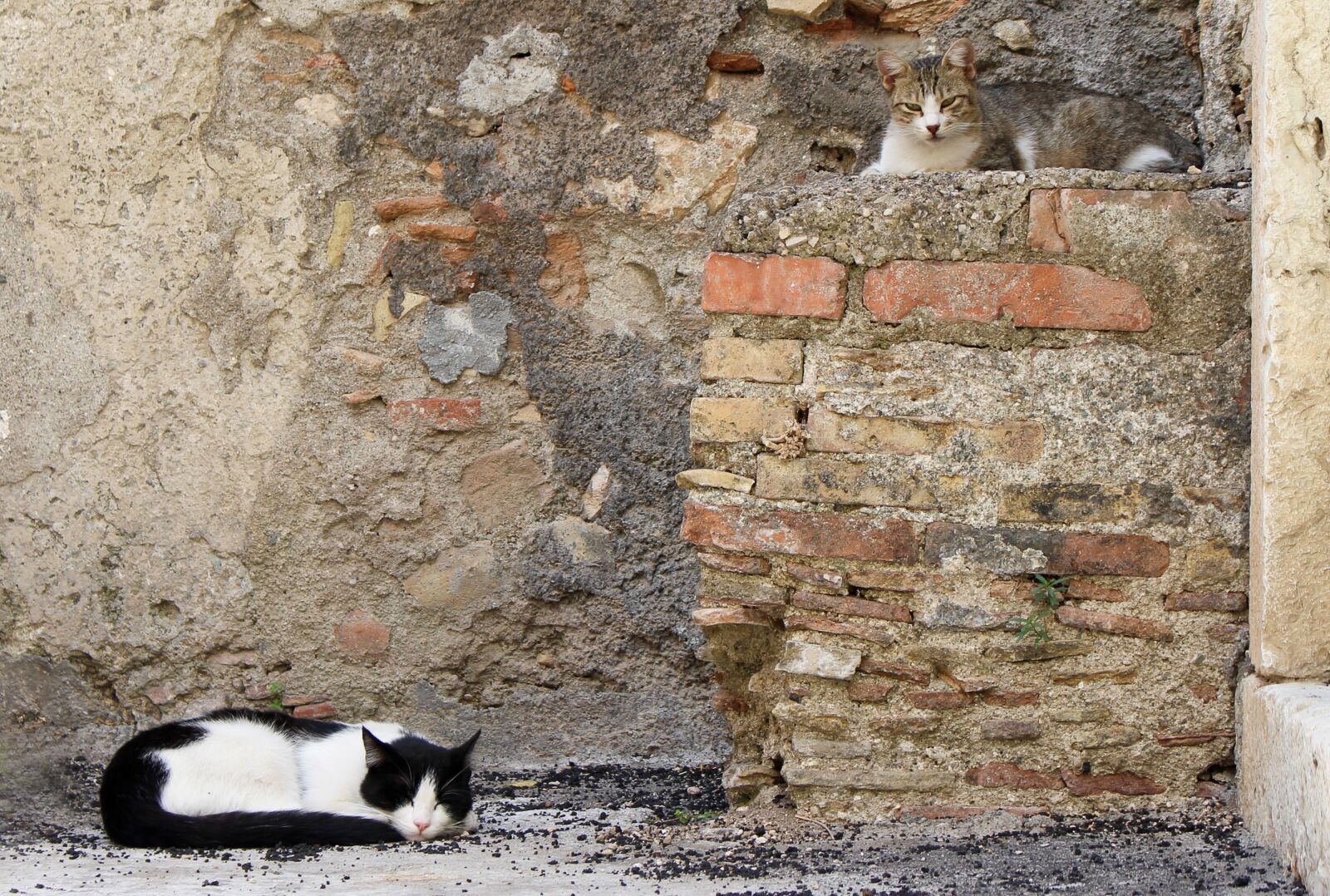 Canon EOS 700D (EOS Rebel T5i / EOS Kiss X7i) sample photo. Castelmola, sicily, italy photography