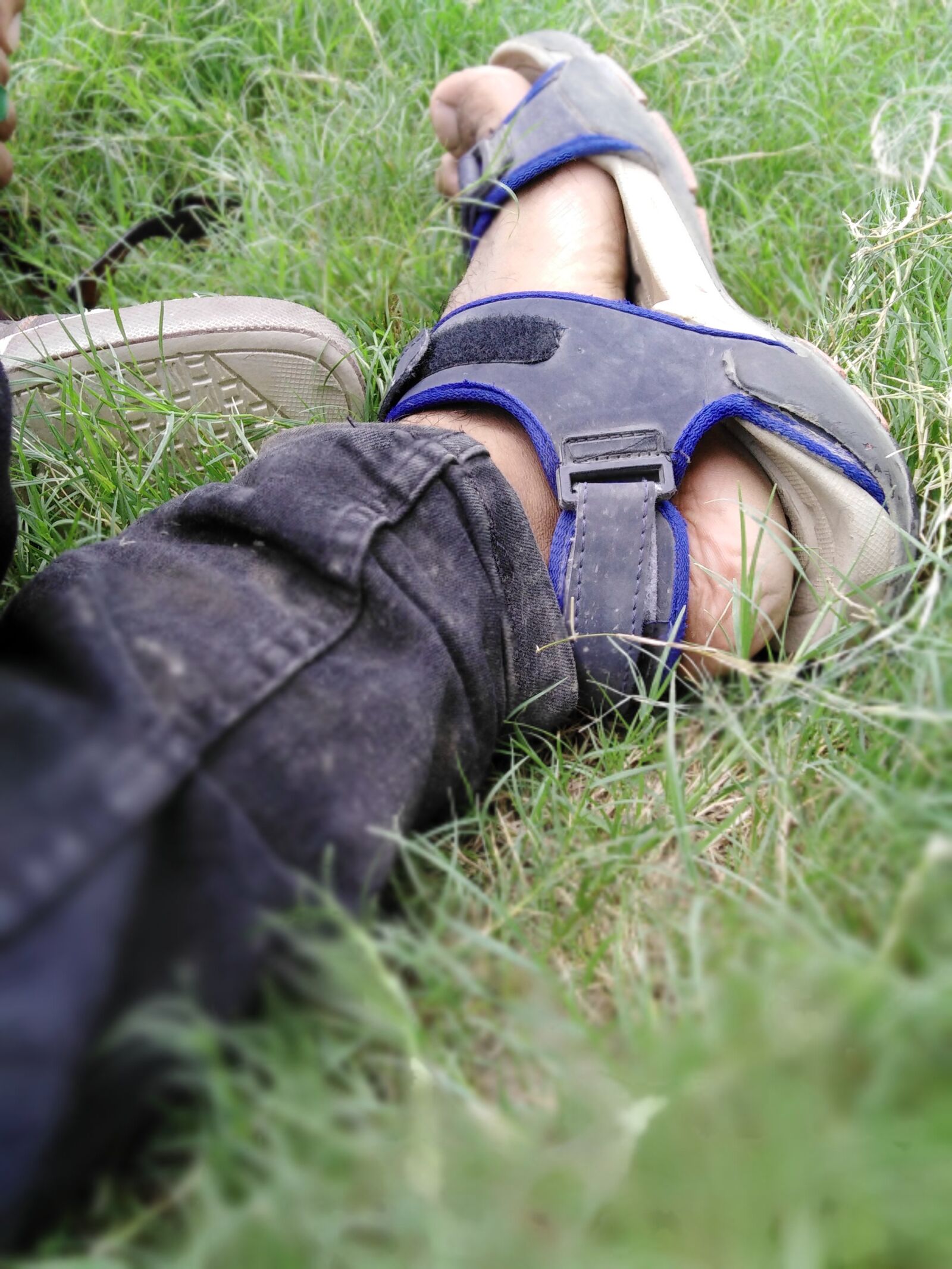 HUAWEI LDN-L21 sample photo. Green grass, park, green photography