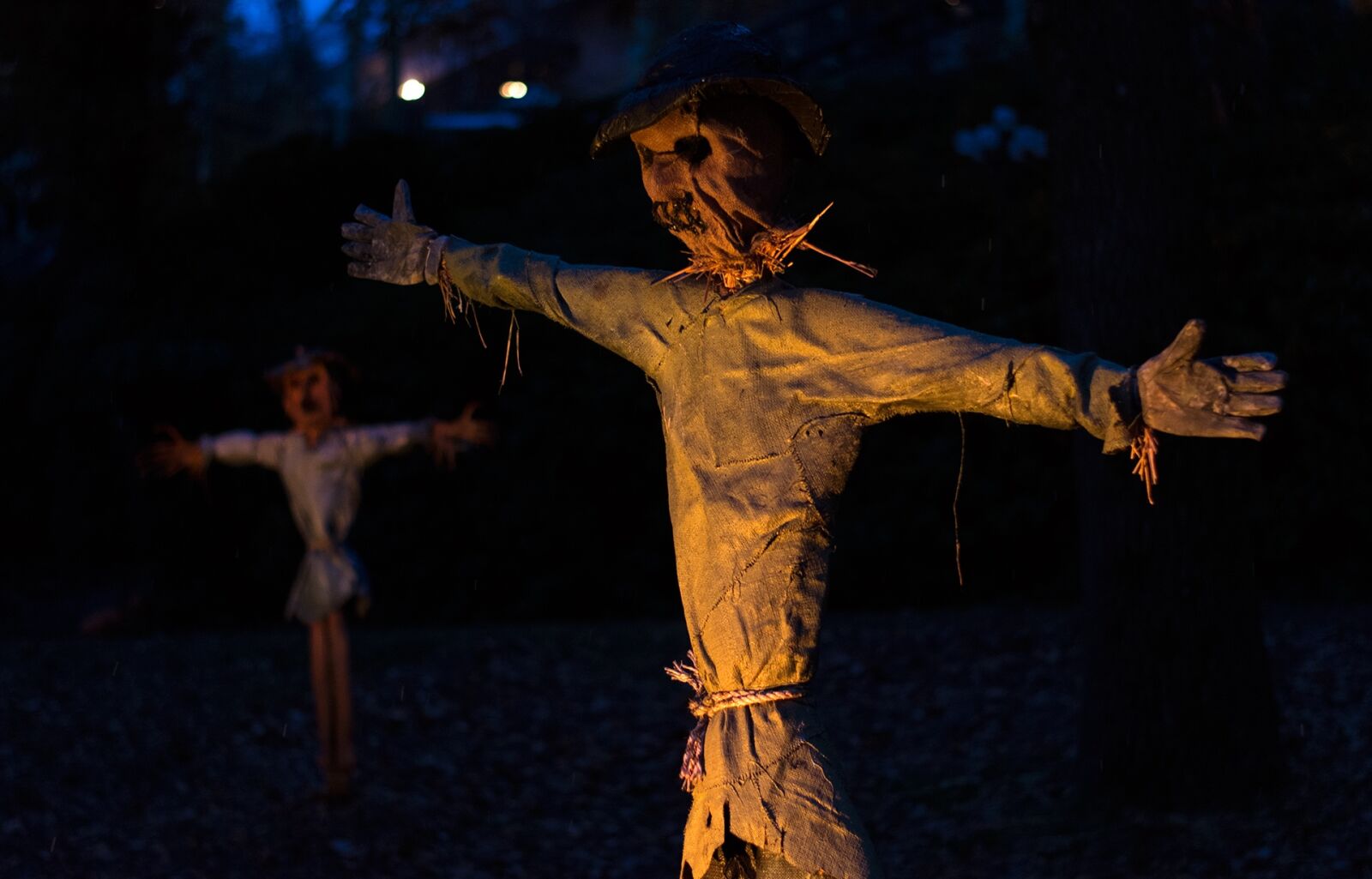 Nikon D7100 sample photo. Halloween, autumn, scarecrow photography