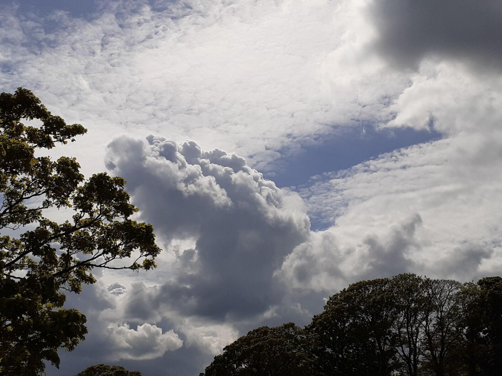 Samsung SM-A202F sample photo. Cloud, thunder, storm photography