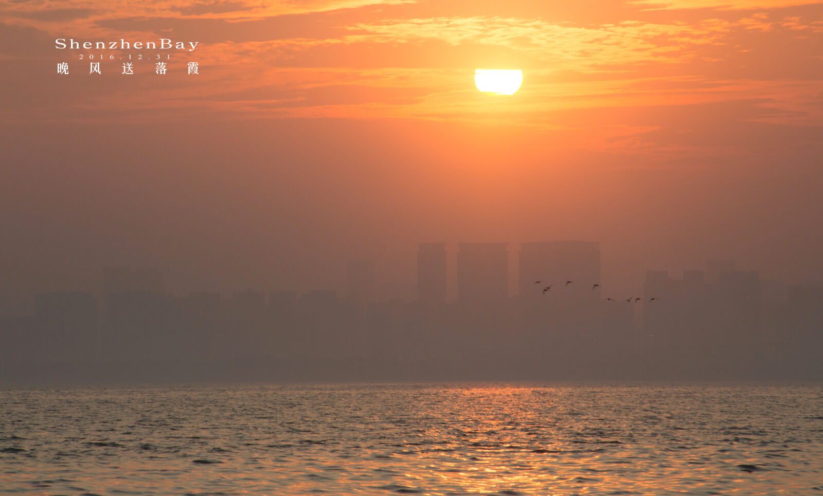 Canon EOS 700D (EOS Rebel T5i / EOS Kiss X7i) sample photo. My, email, 1197016650, qq, com photography