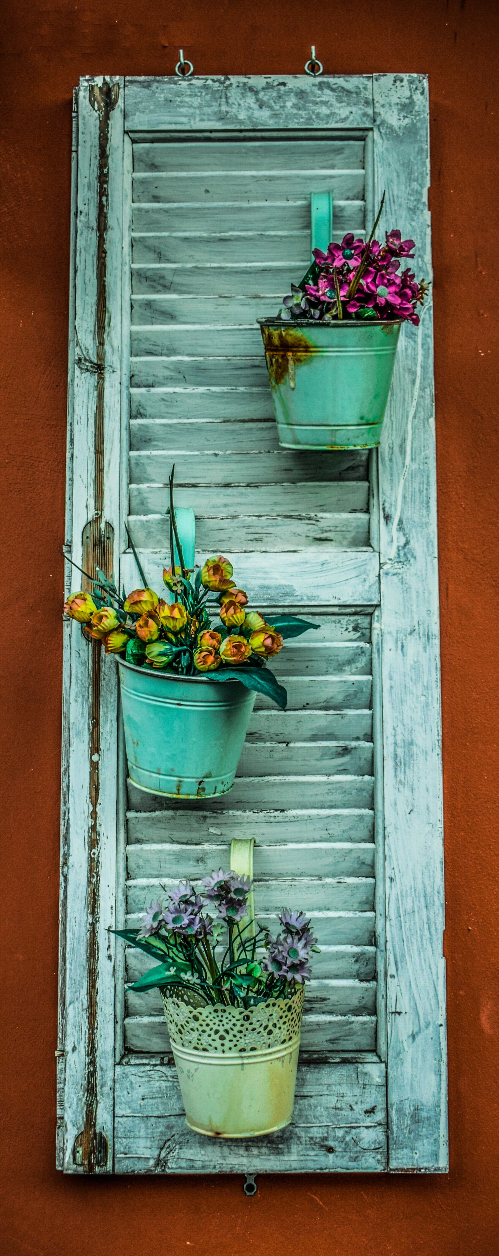 Nikon D3300 sample photo. Shutter, flower pot, flowers photography