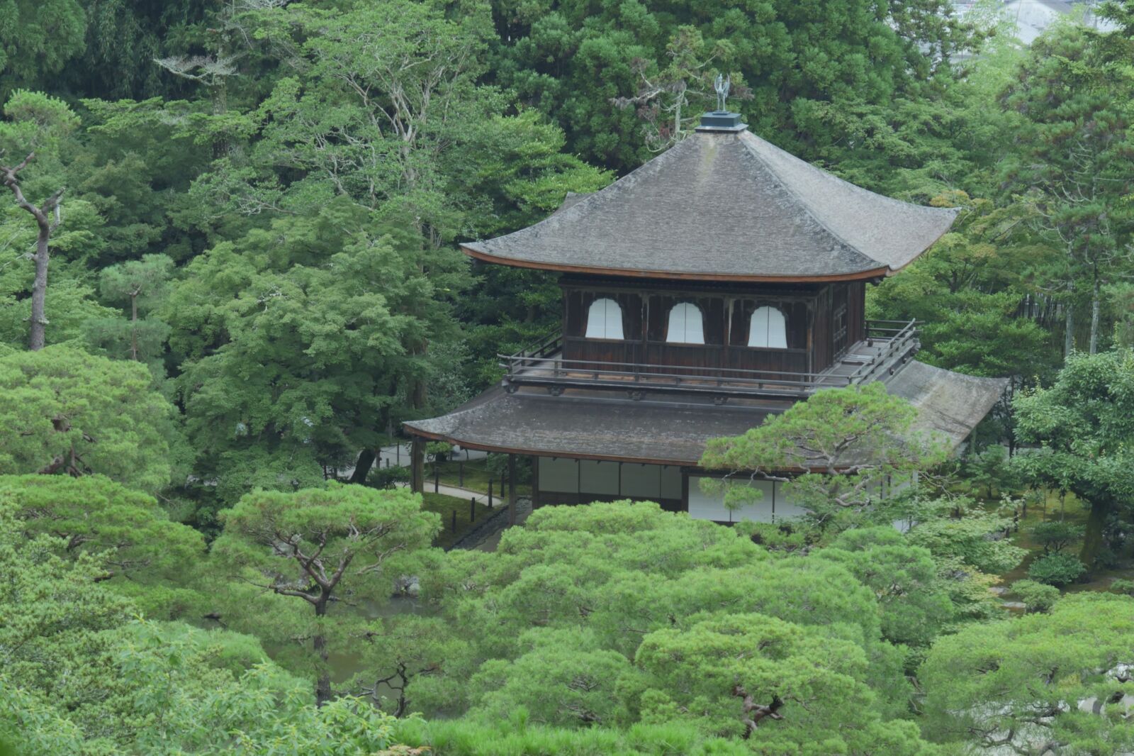 Panasonic Lumix DMC-GX8 sample photo. Ginkakuji, kyoto, garden photography