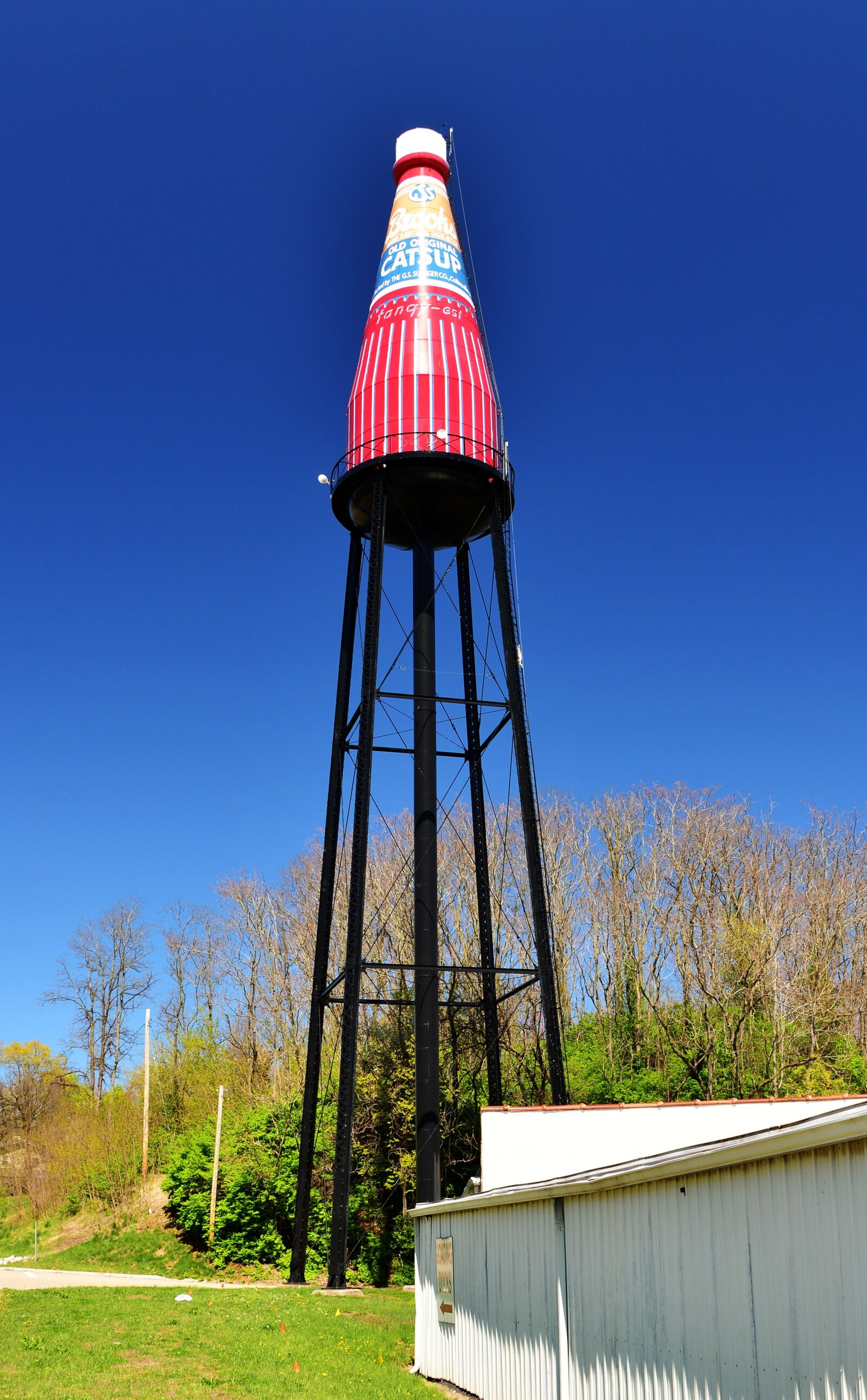 Nikon D610 sample photo. Usa, route 66, water tower photography