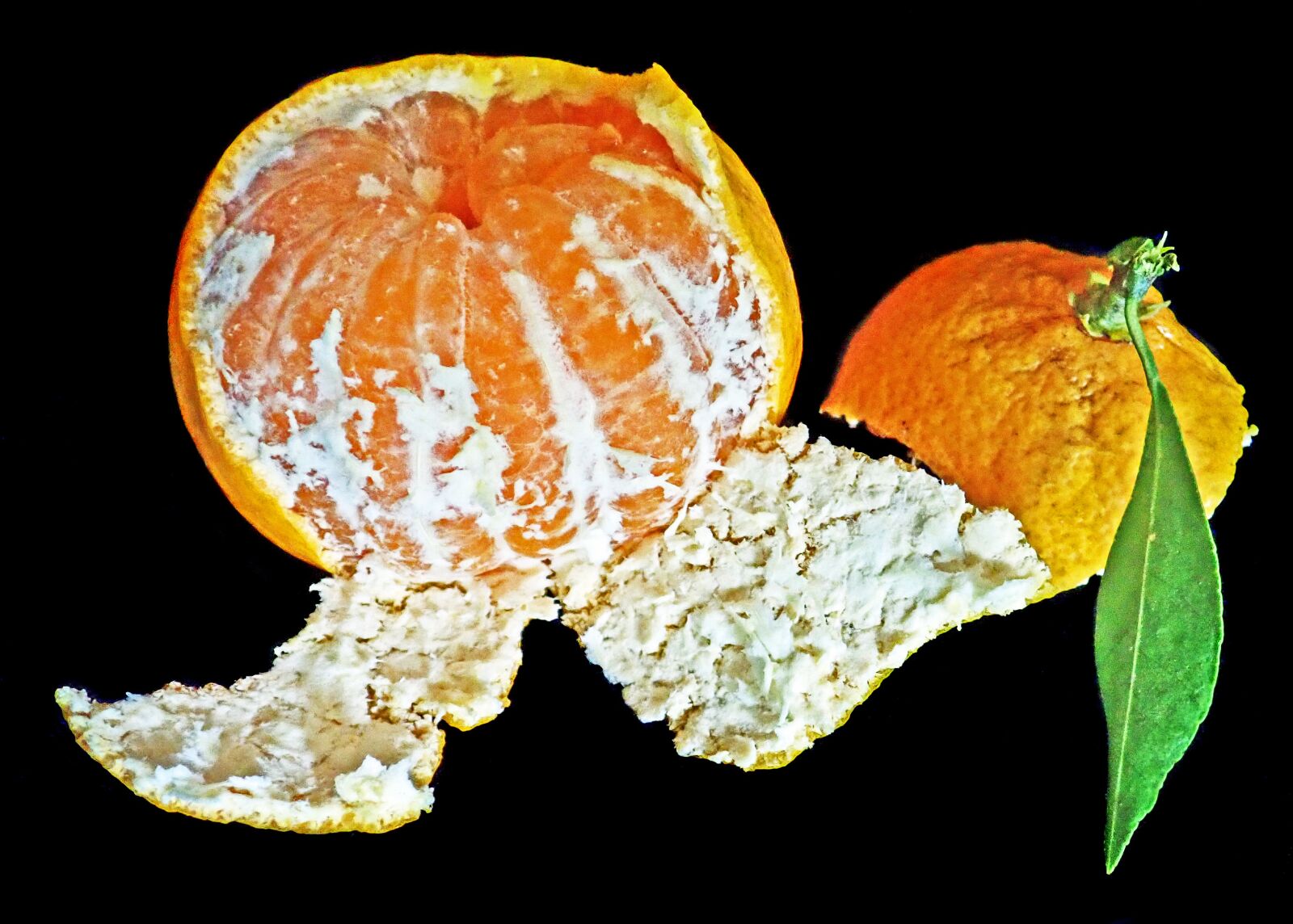Olympus TG-5 sample photo. Mandarin, citrus, fruit photography
