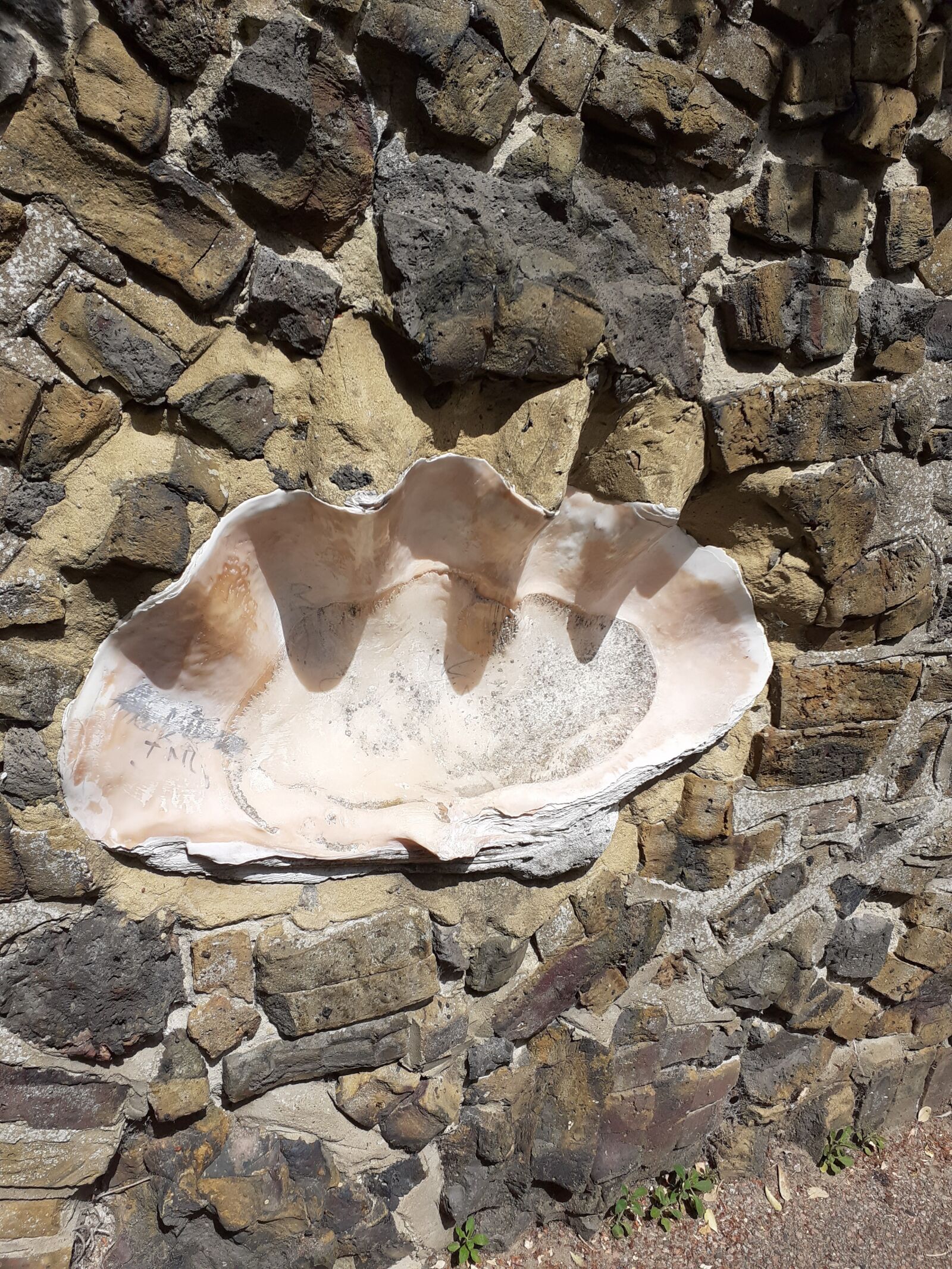 Samsung SM-A202F sample photo. Giant, shell, wall photography