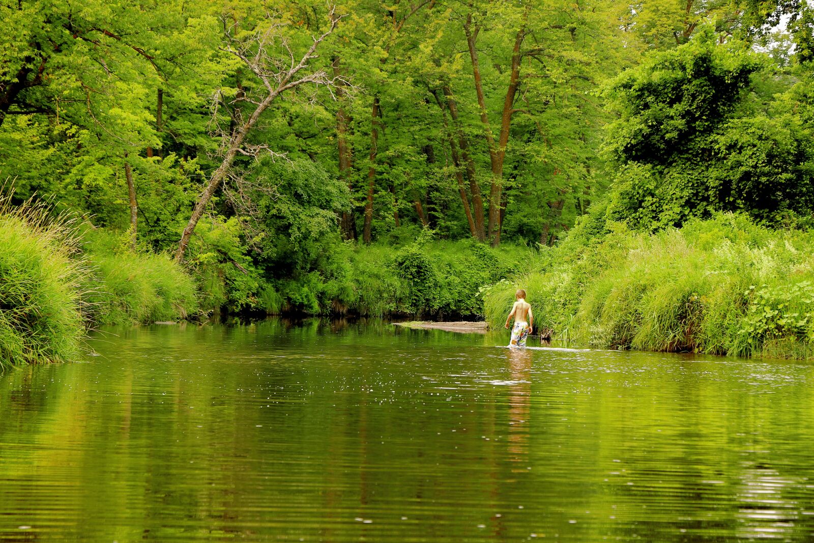 Canon EOS 77D (EOS 9000D / EOS 770D) sample photo. Green, nature, river photography