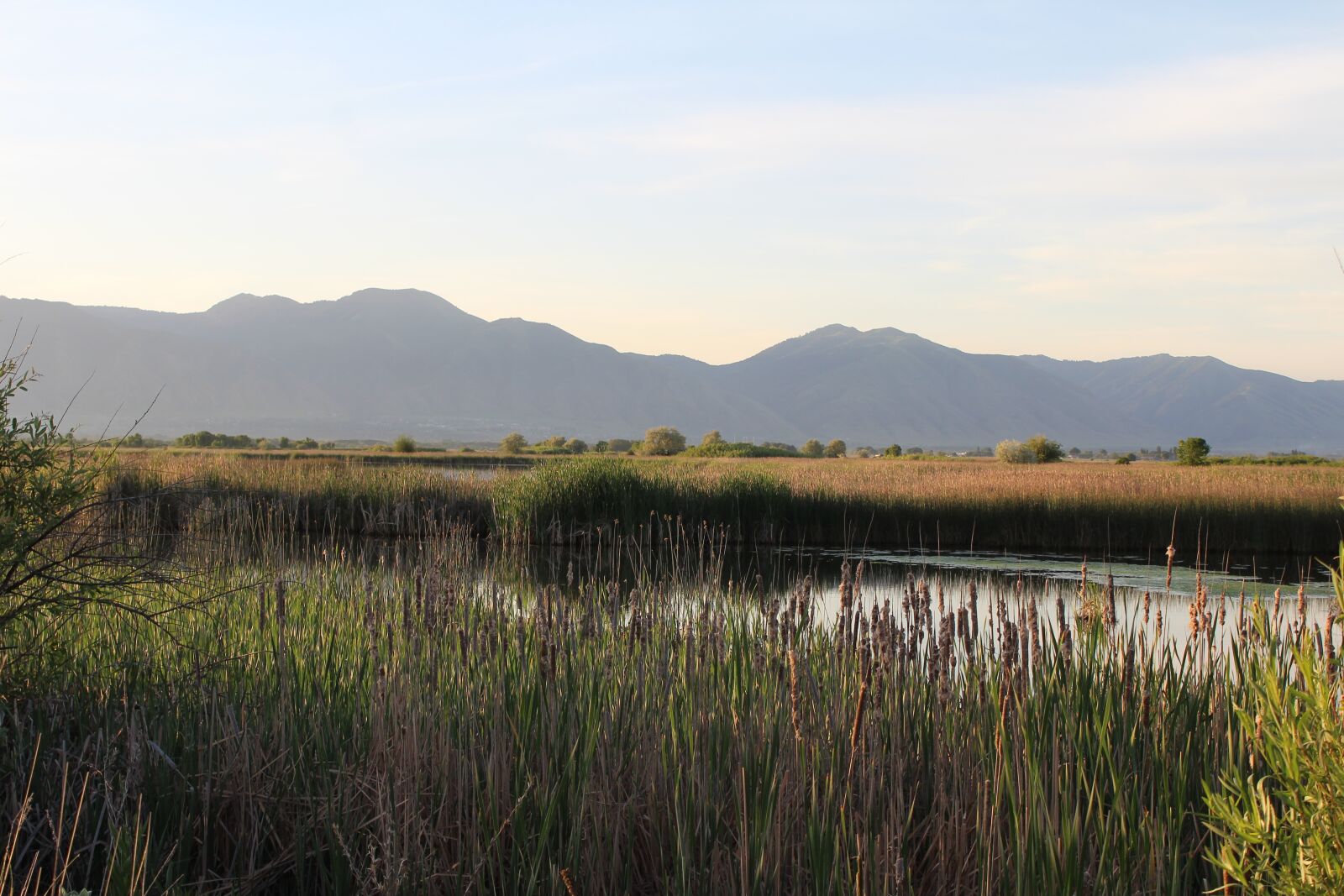 Canon EOS 1300D (EOS Rebel T6 / EOS Kiss X80) sample photo. Mountains, cache valley, marsh photography