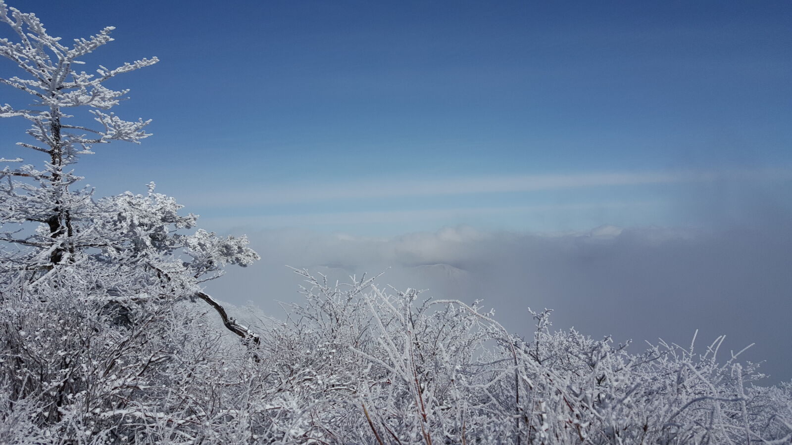 Samsung Galaxy Note5 sample photo. Korea, mountain, taebaeksan, winter photography