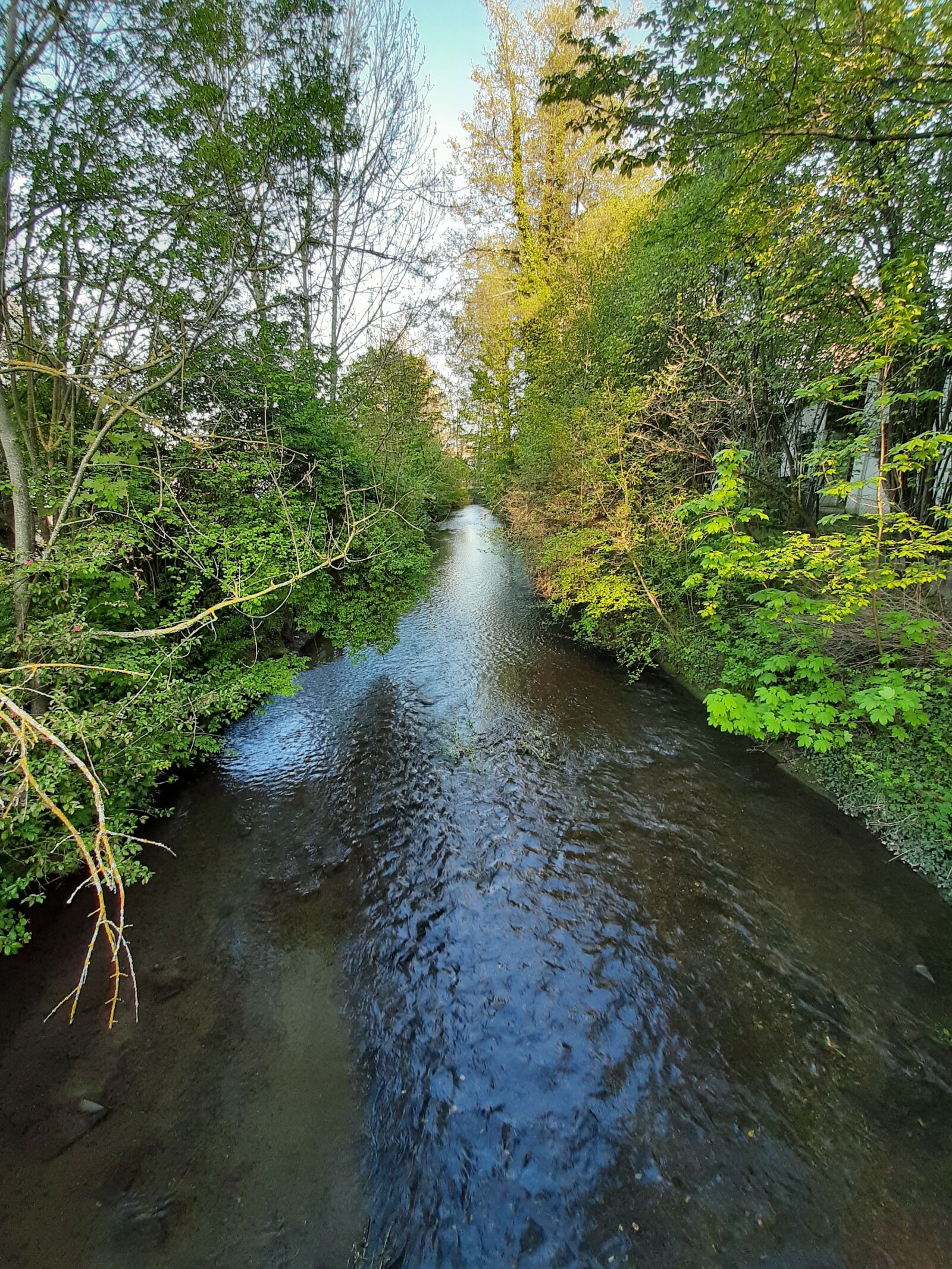 Samsung Galaxy A50 sample photo. Creek, bach, nature photography