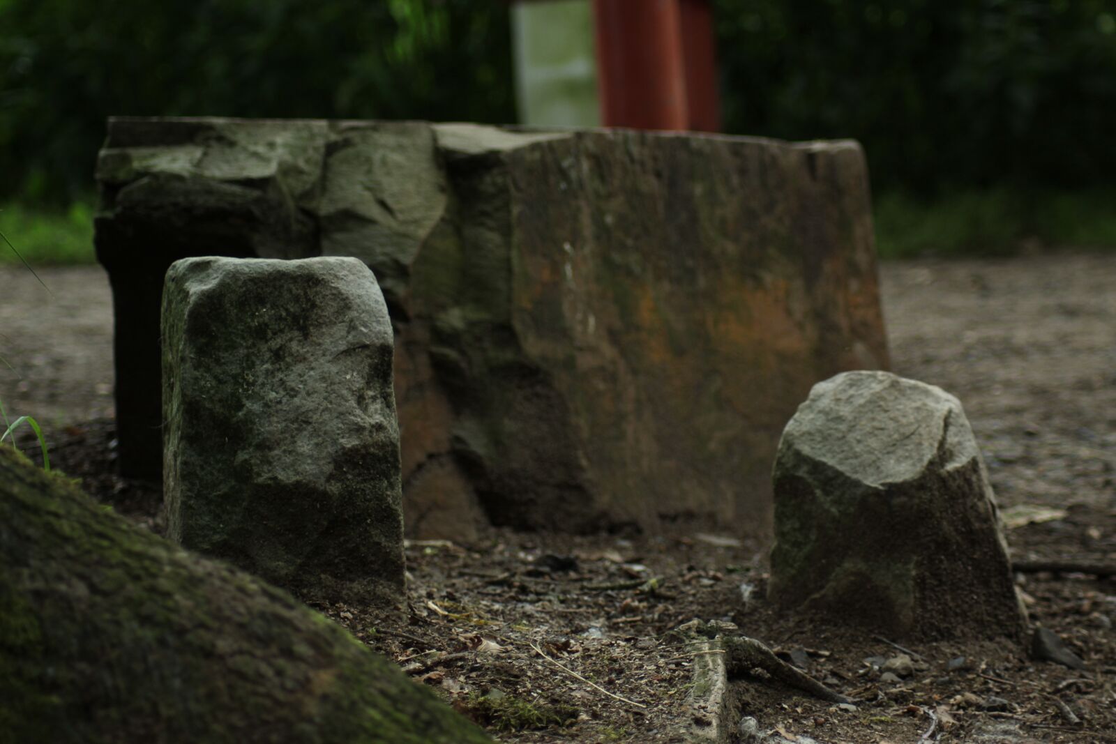 Canon EOS 1300D (EOS Rebel T6 / EOS Kiss X80) sample photo. Stones, forest, nature photography