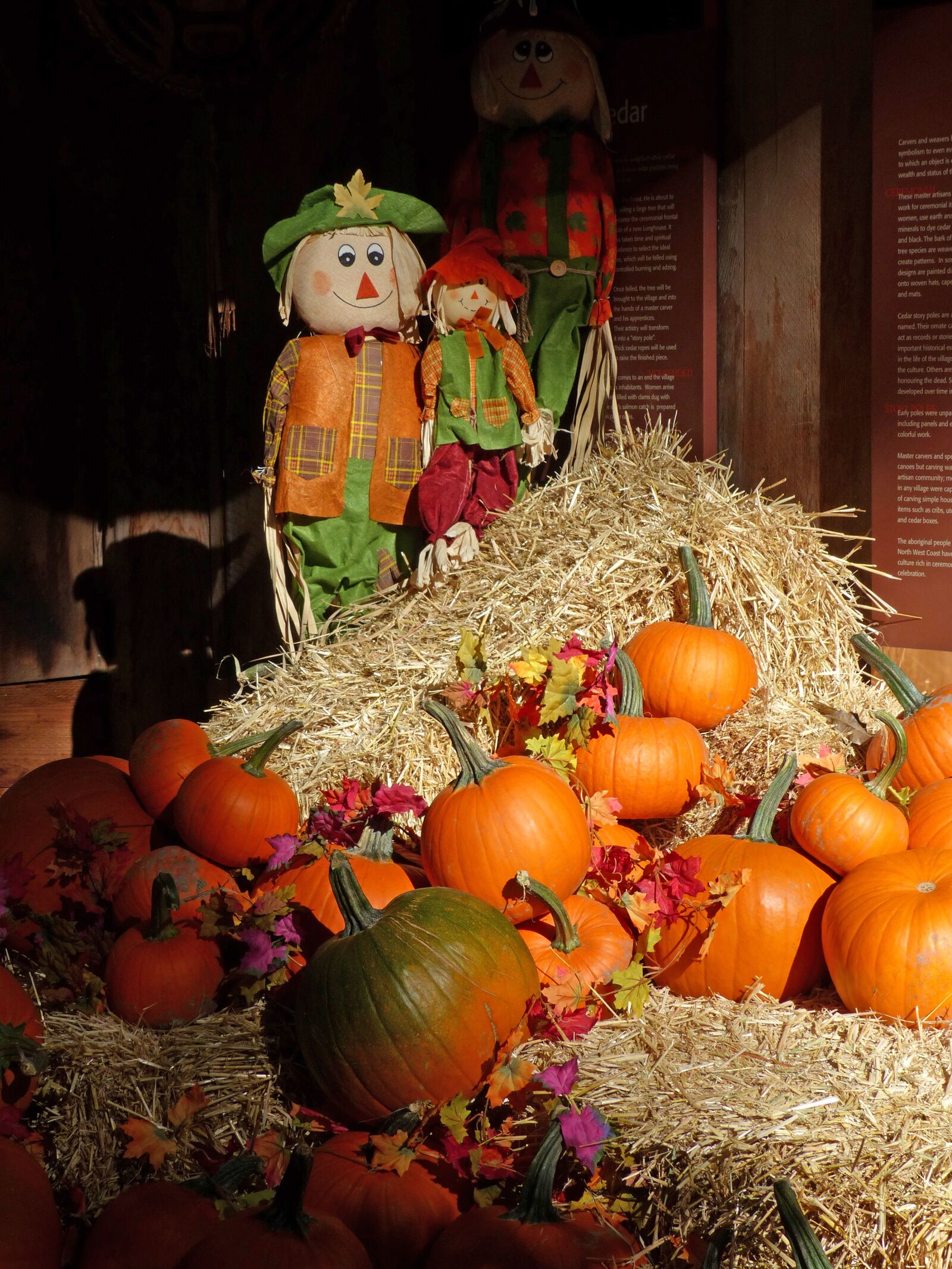 Panasonic Lumix DMC-FZ200 sample photo. Autumn, pumpkin, still life photography