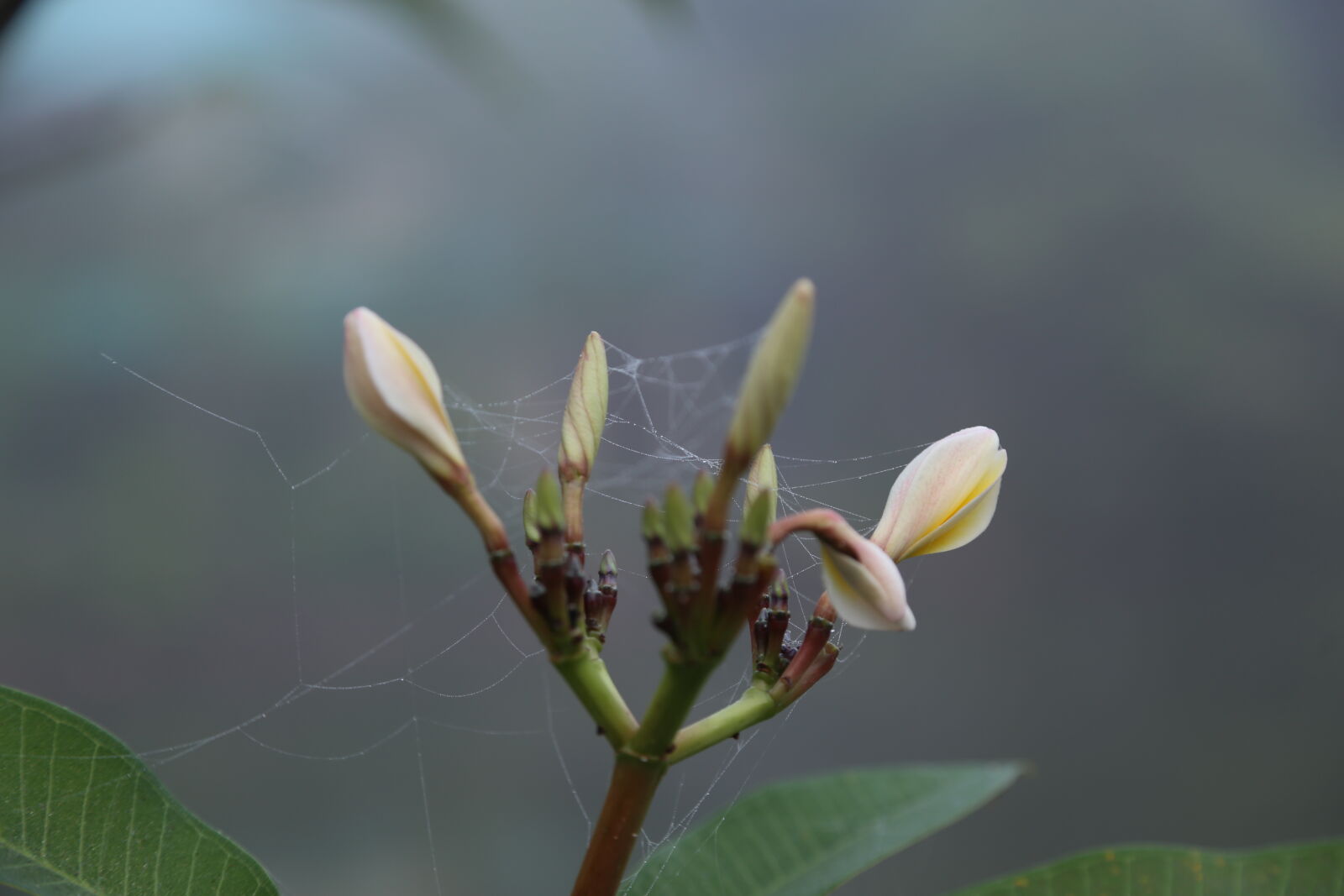 Canon EOS 6D sample photo